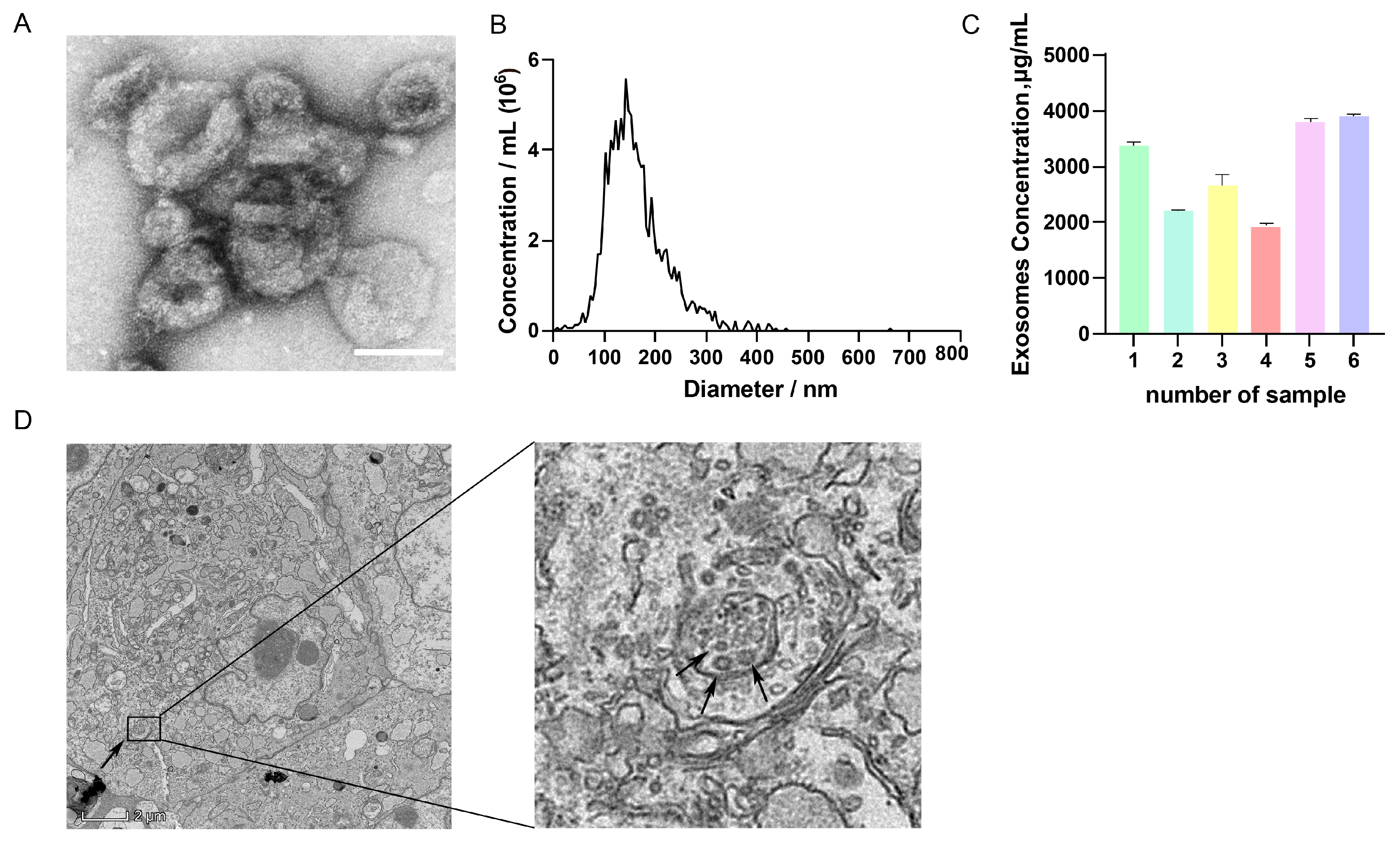 Antioxidants 13 00348 g001