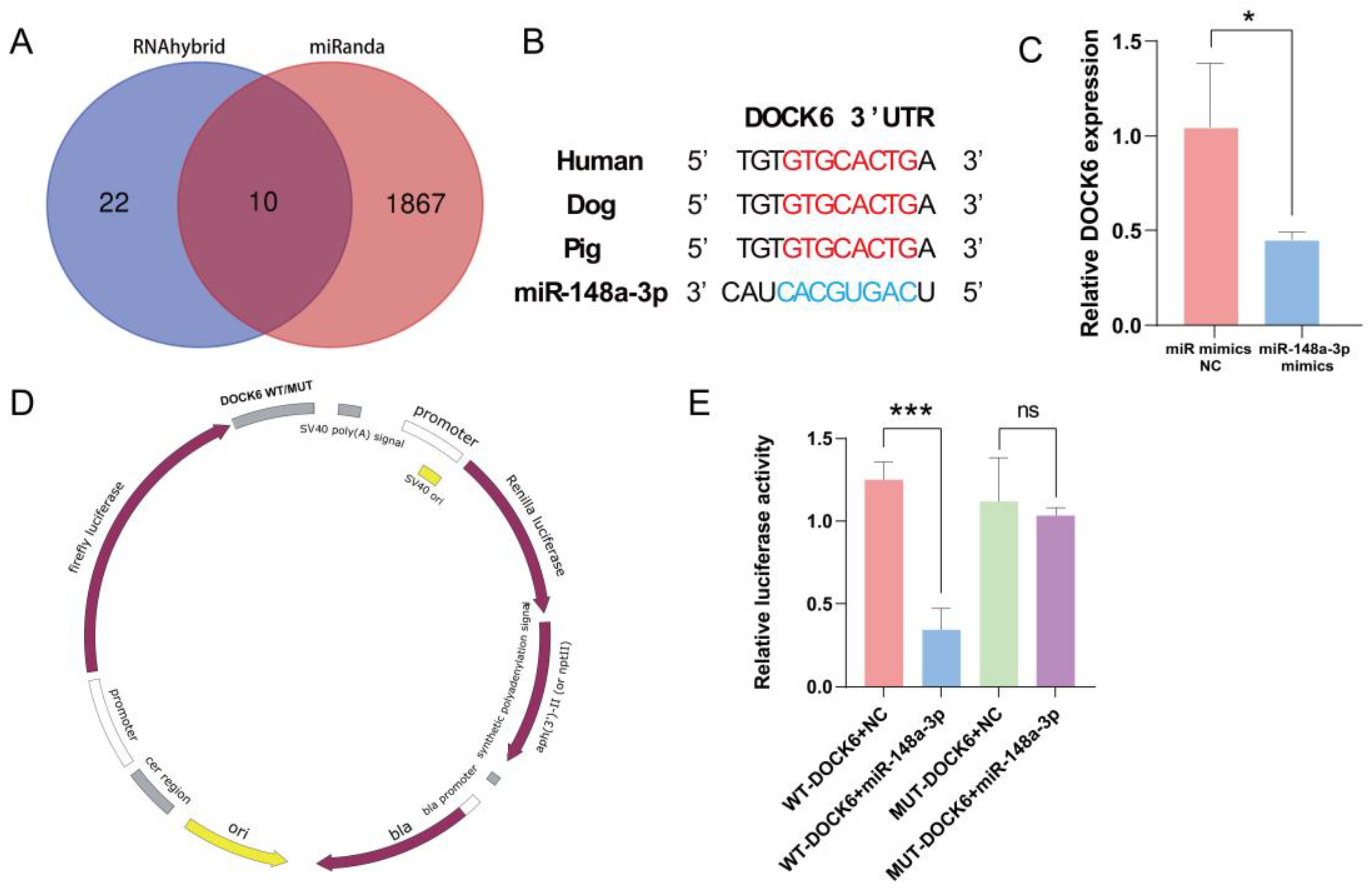 Antioxidants 13 00348 g007