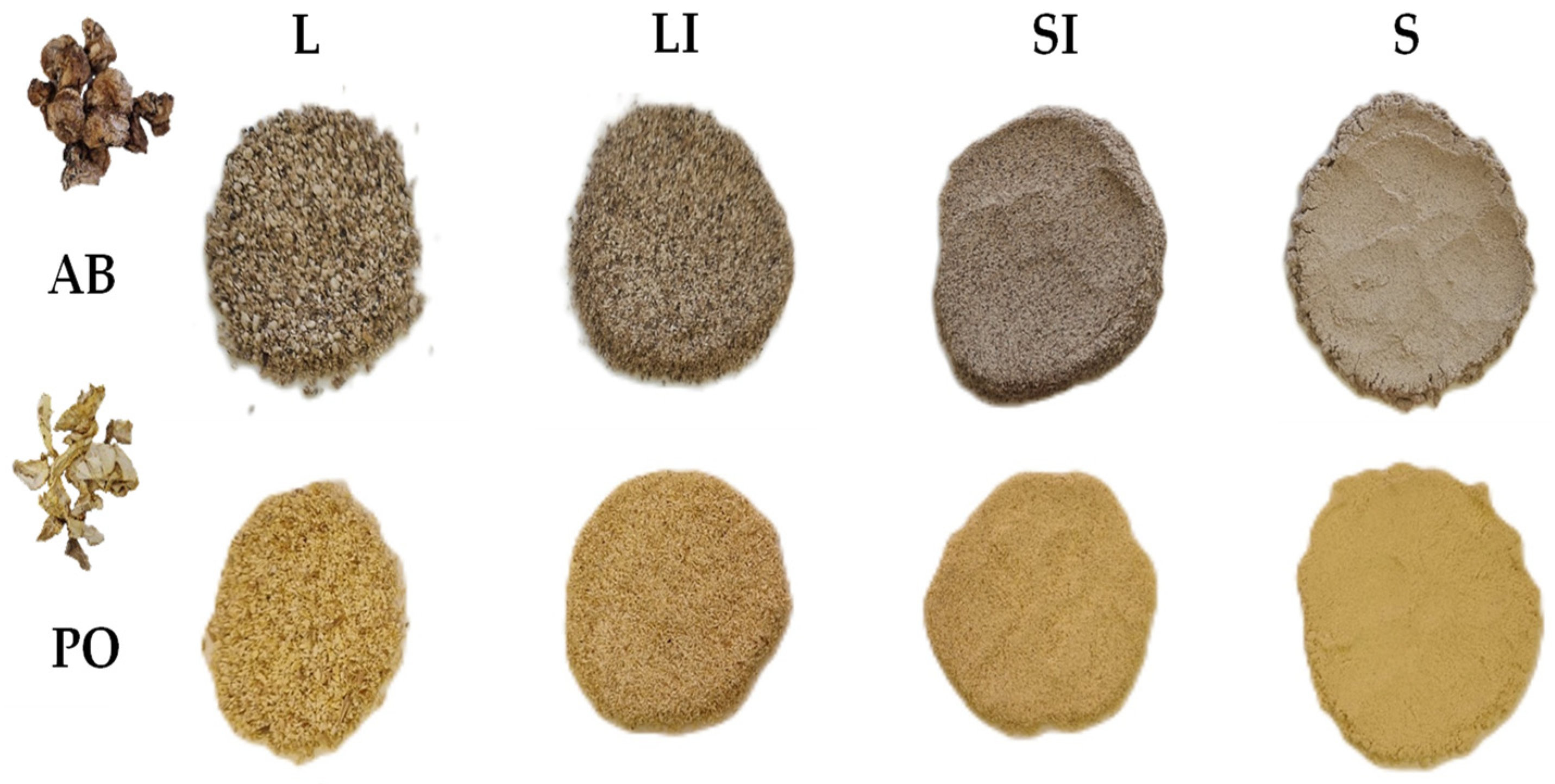 Antioxidants 13 00349 g001