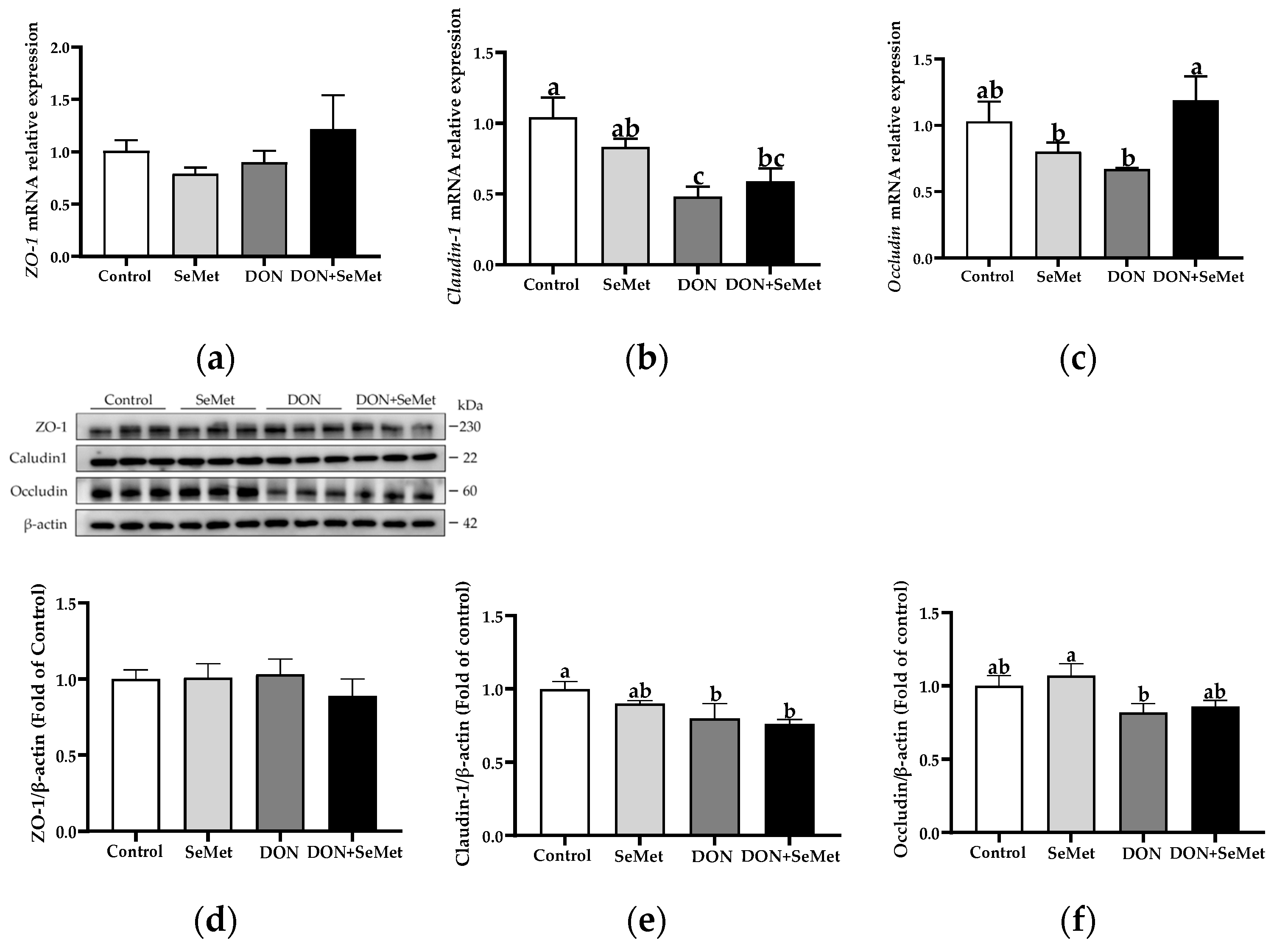 Antioxidants 13 00356 g008
