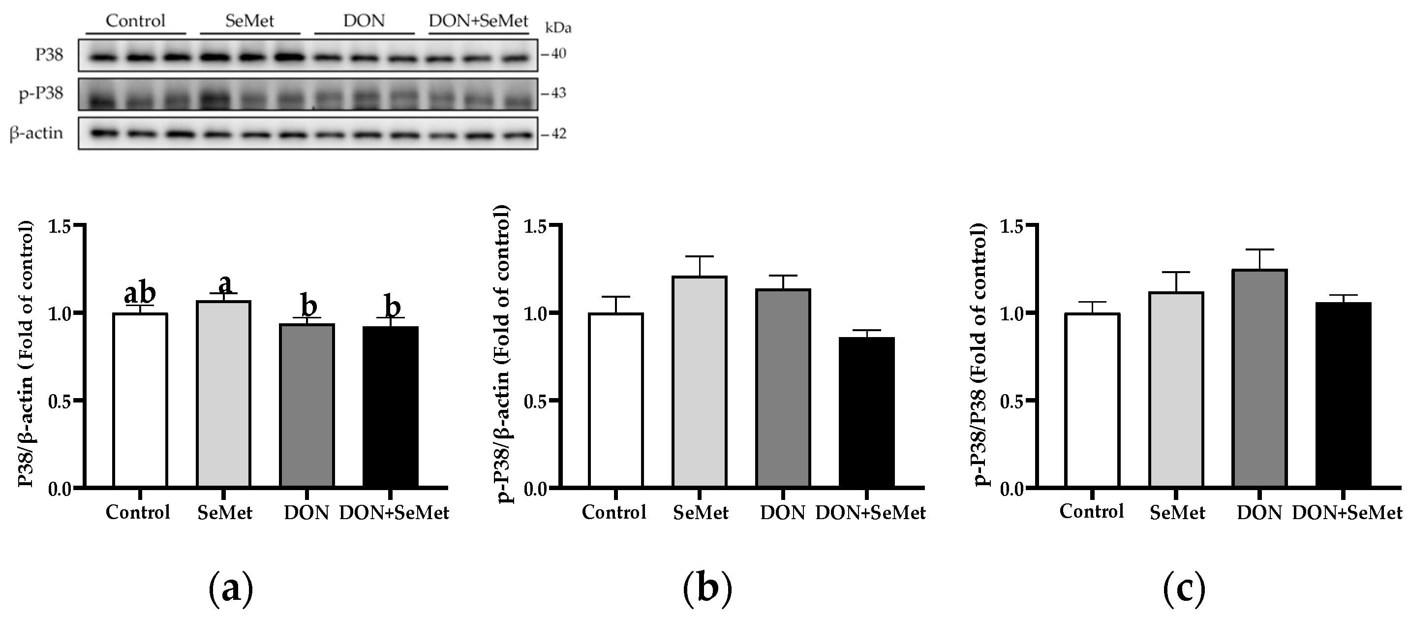 Antioxidants 13 00356 g011
