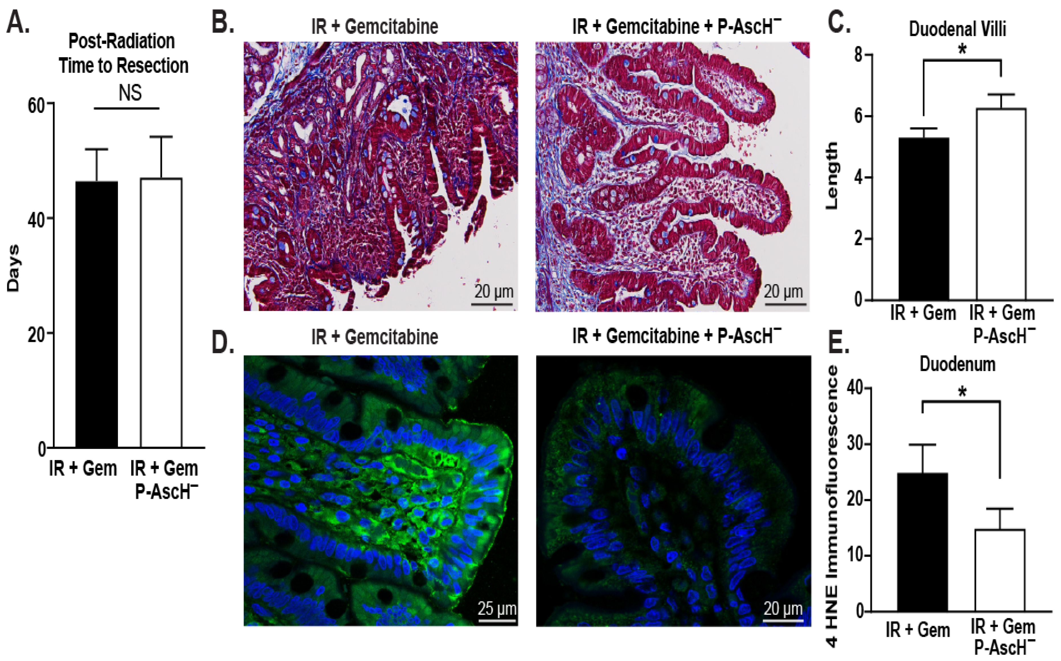 Antioxidants 13 00361 g001