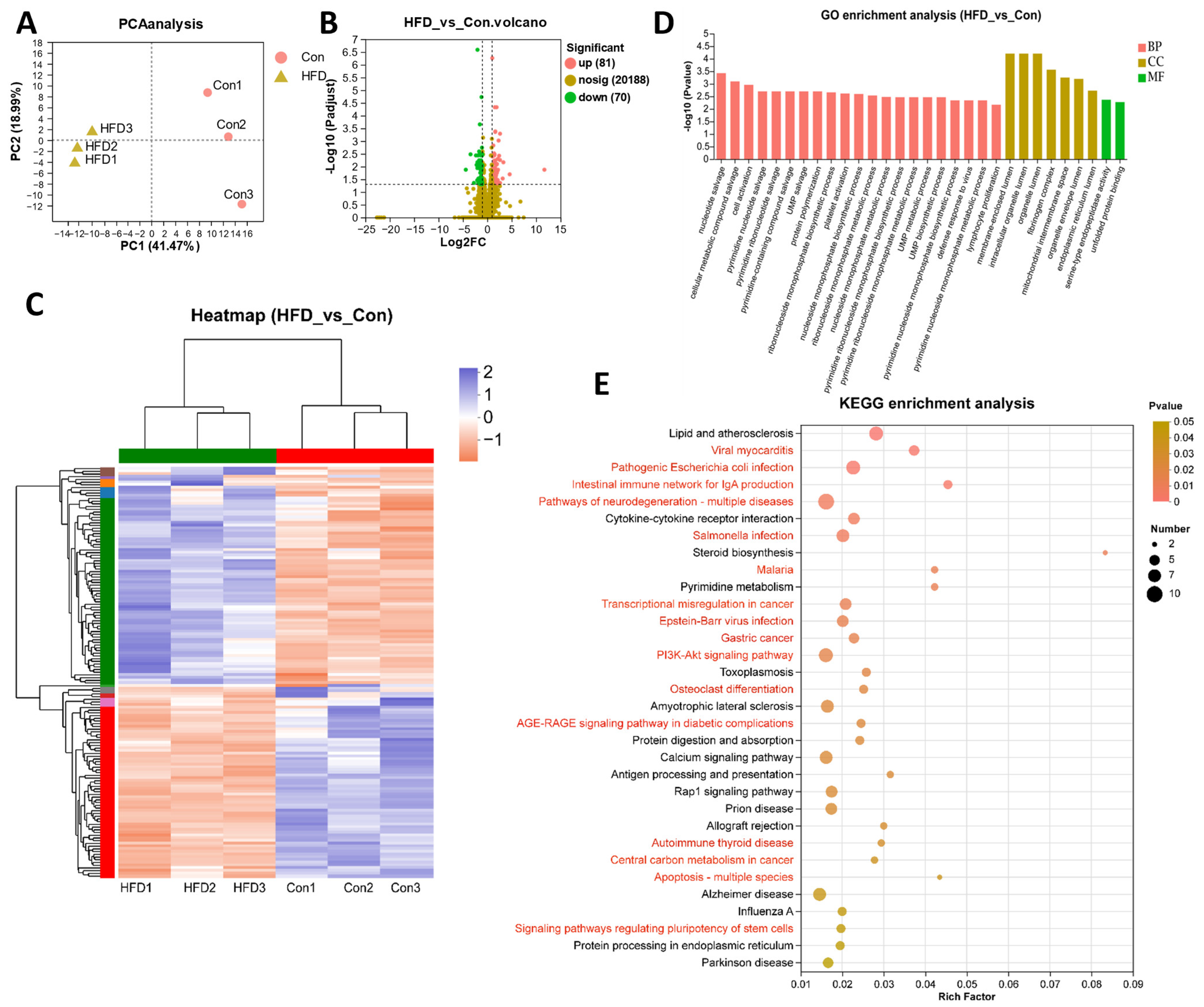 Antioxidants 13 00363 g003