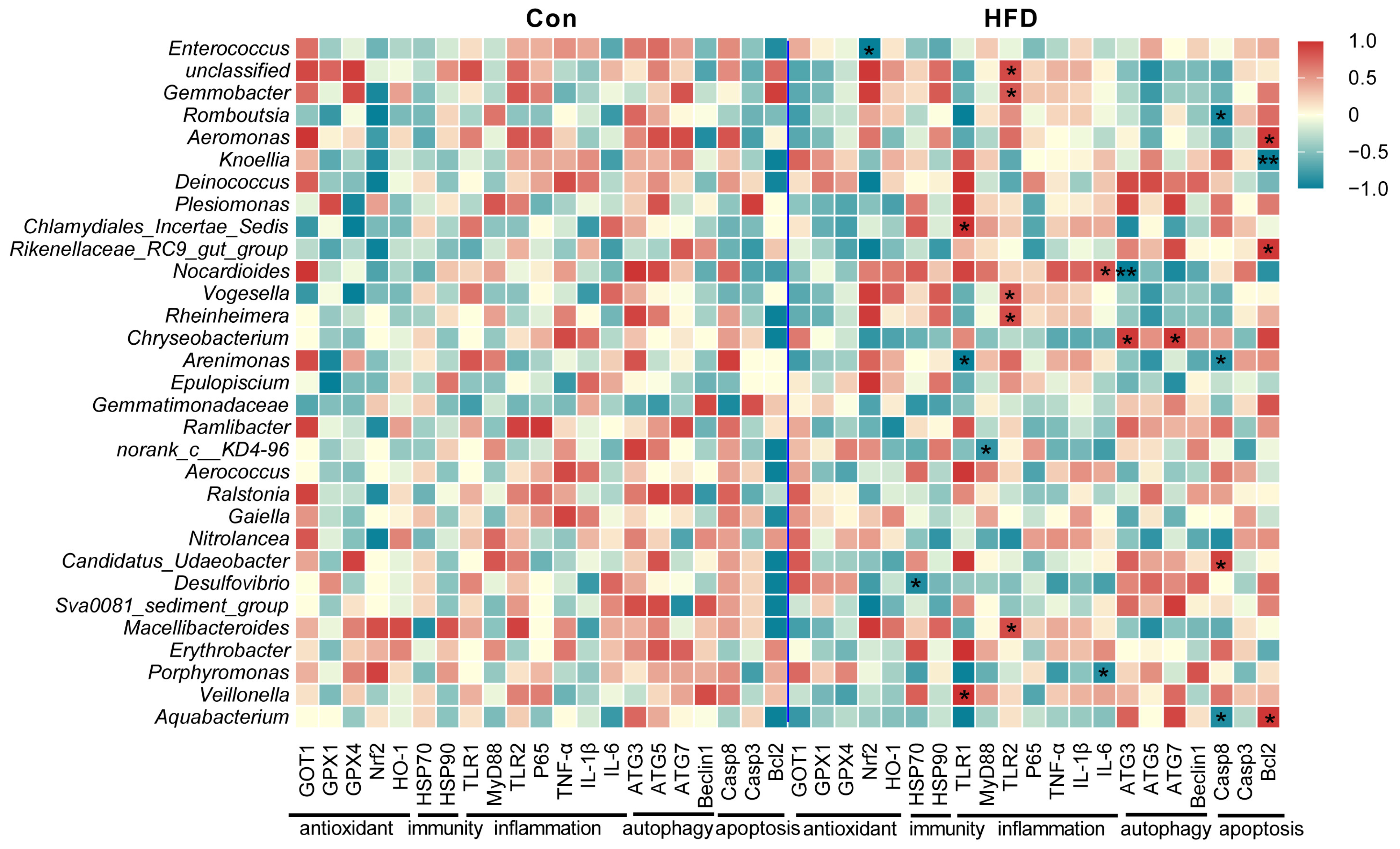 Antioxidants 13 00363 g007