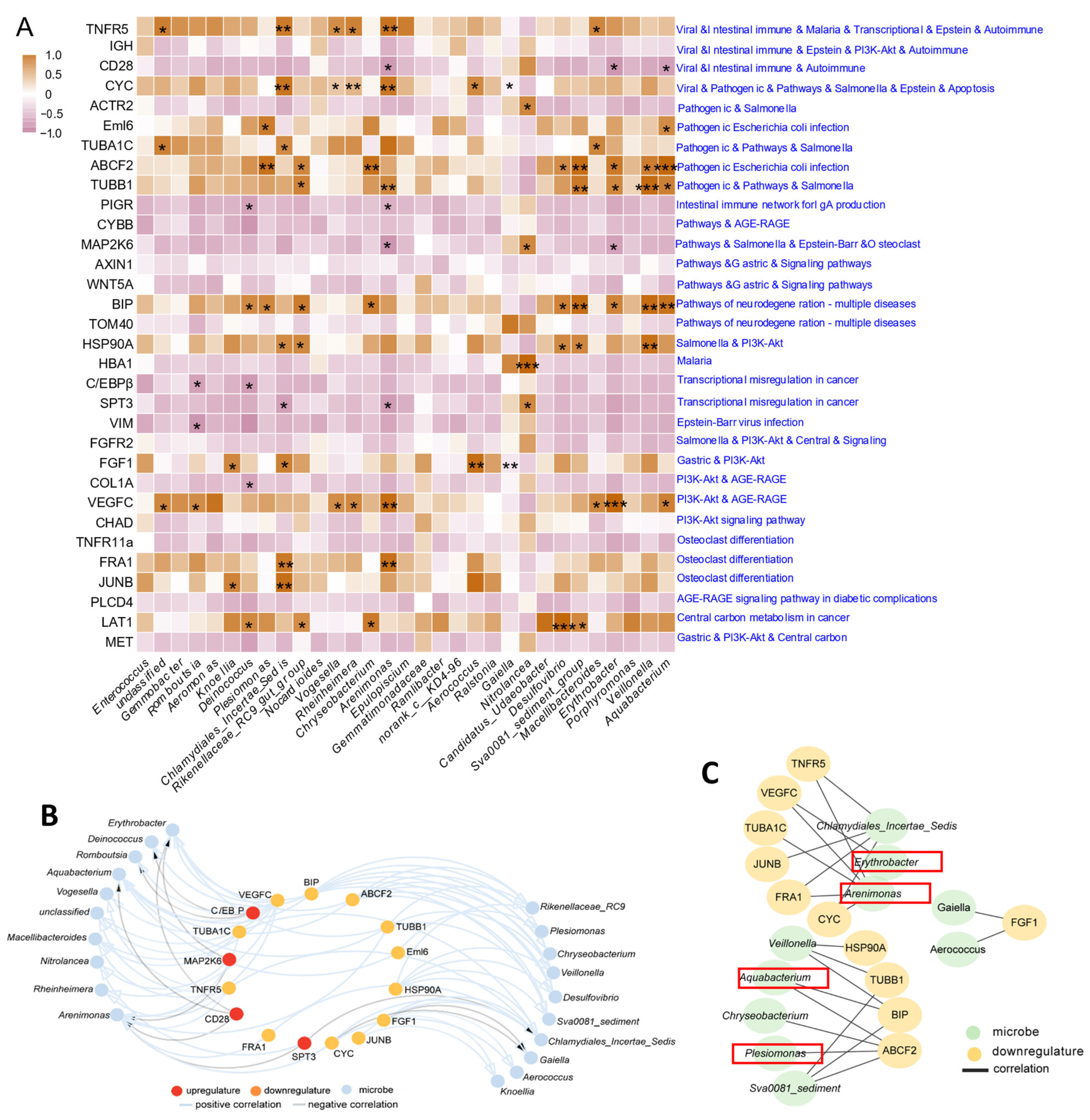 Antioxidants 13 00363 g008