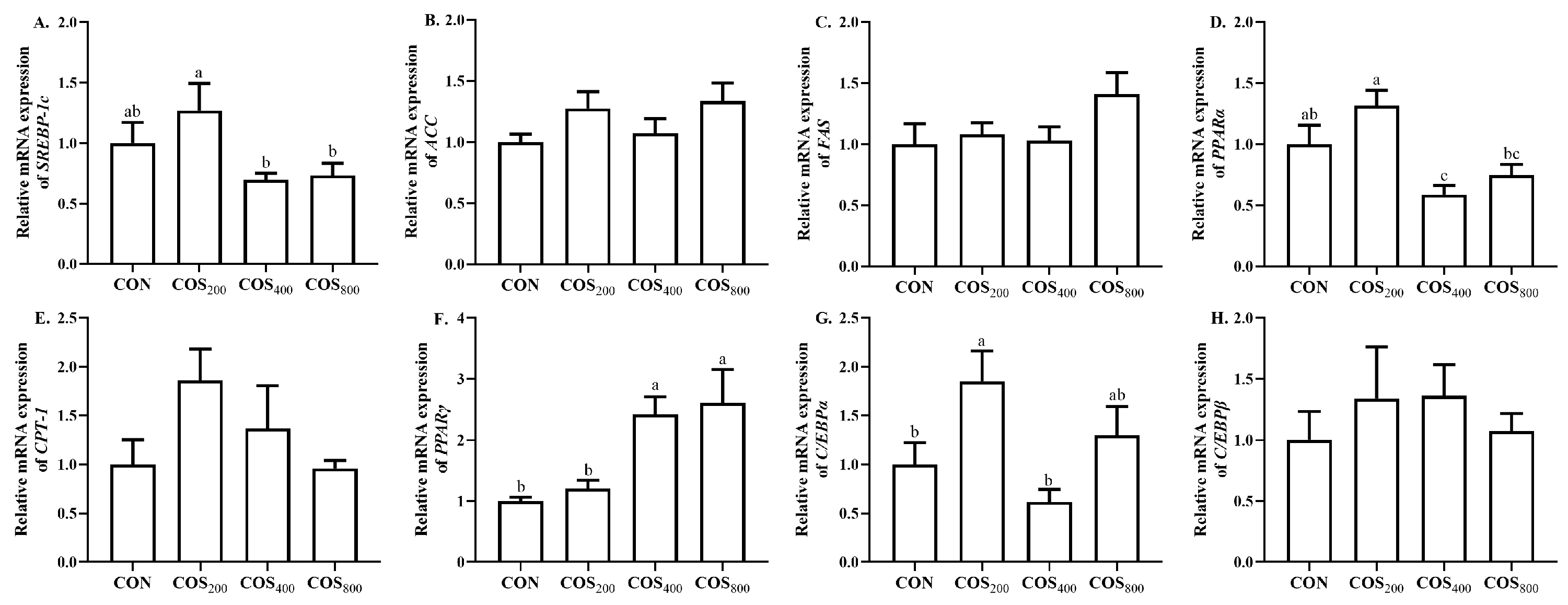 Antioxidants 13 00366 g001