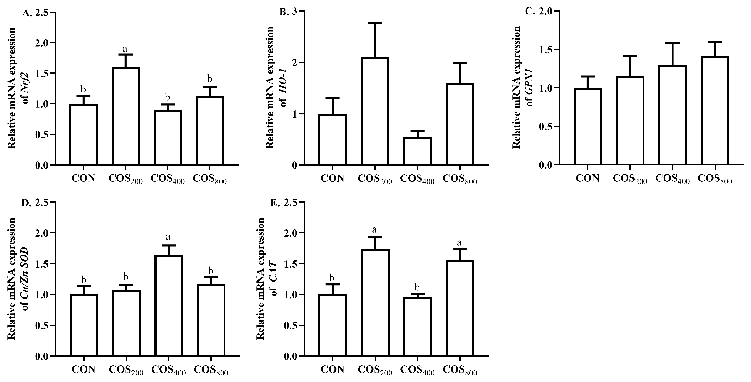 Antioxidants 13 00366 g005