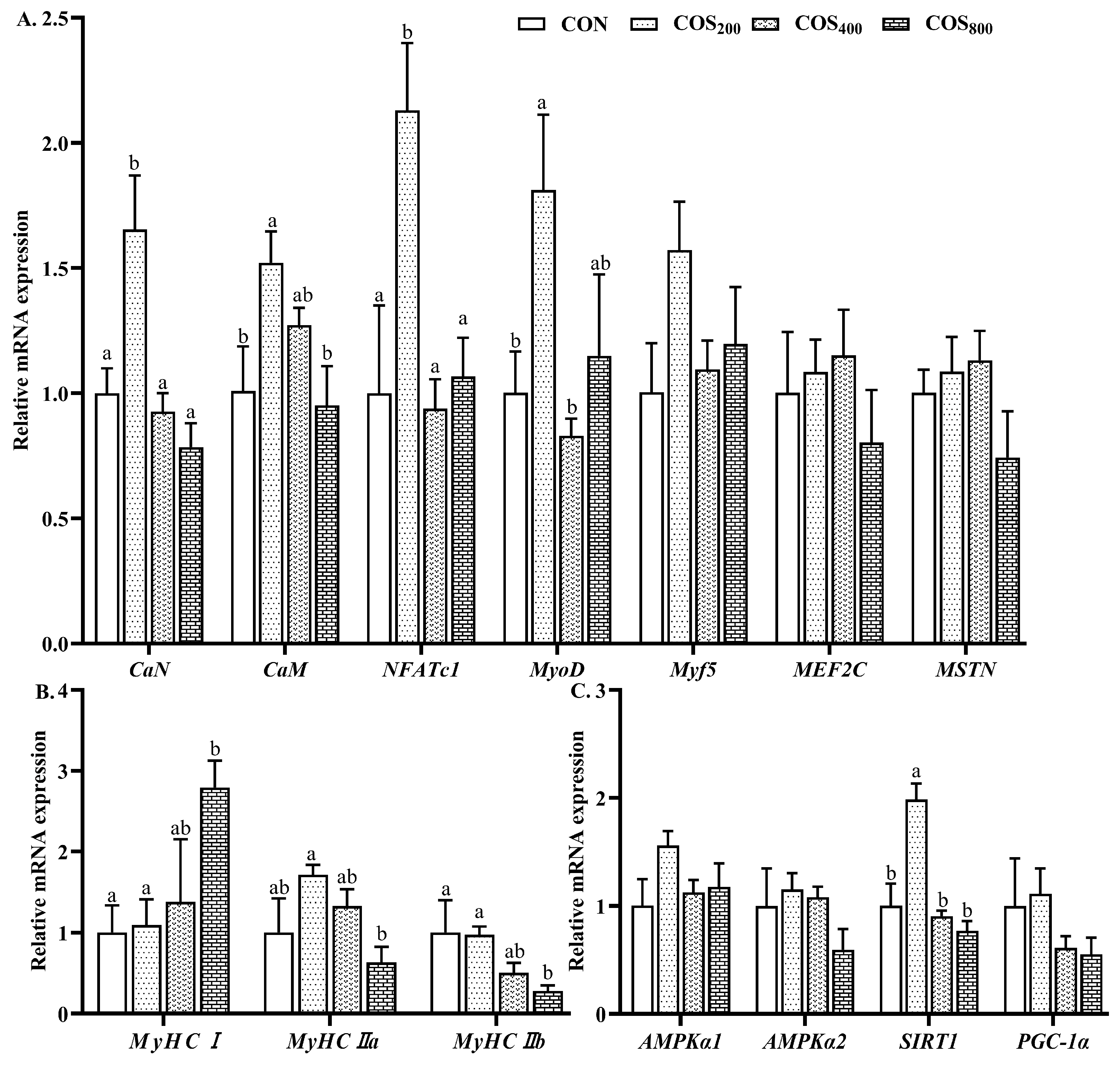 Antioxidants 13 00366 g007