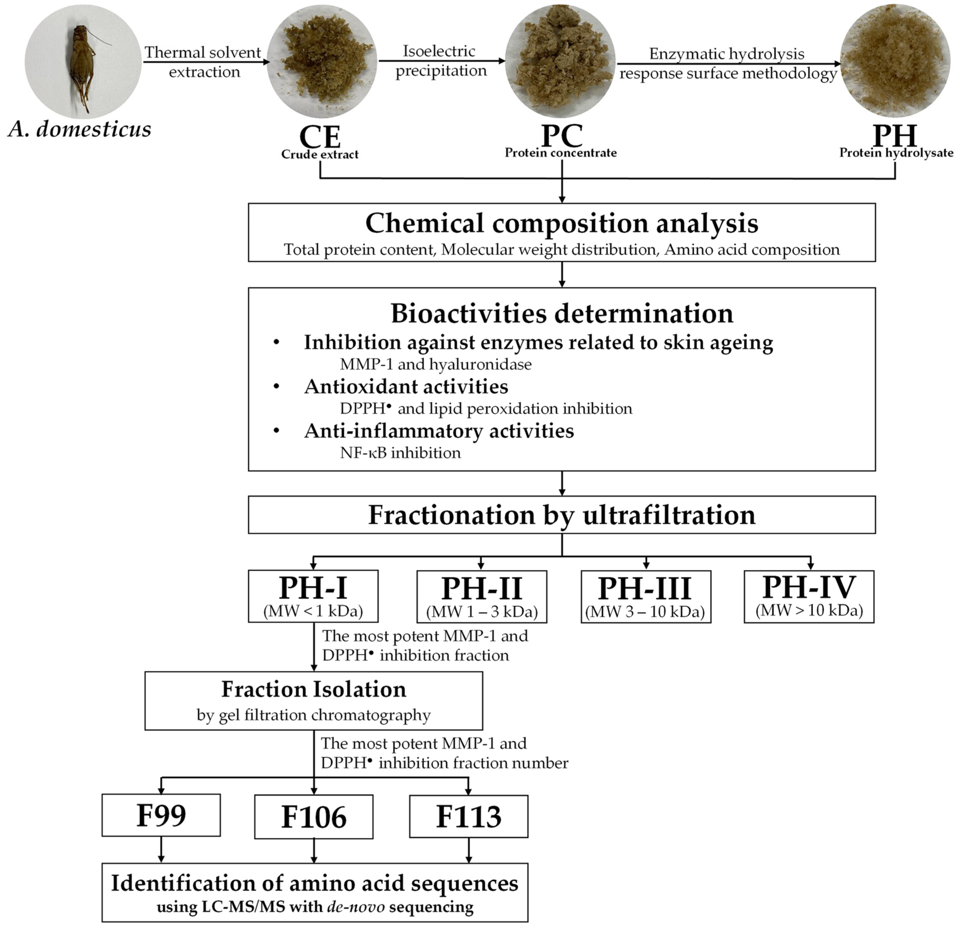 Antioxidants 13 00367 g001
