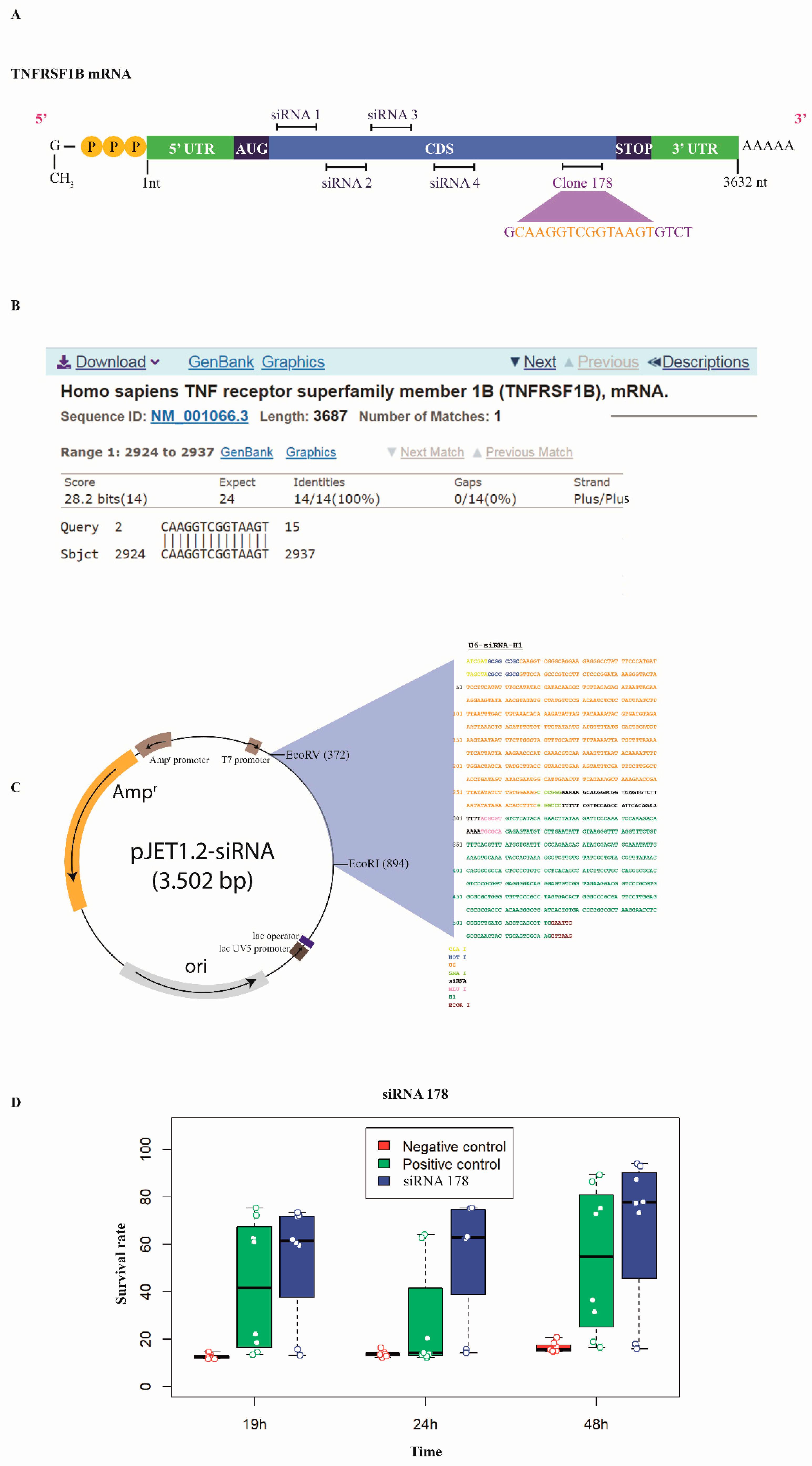Antioxidants 13 00368 g001