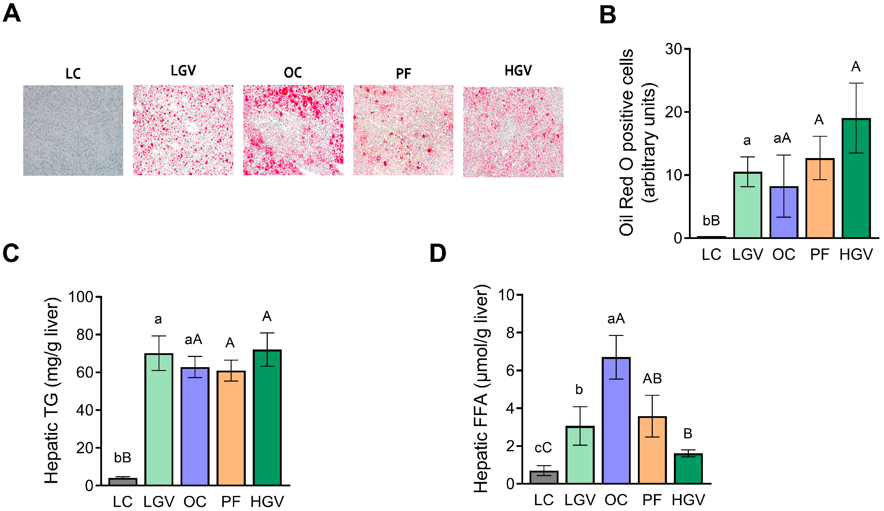 Antioxidants 13 00369 g003