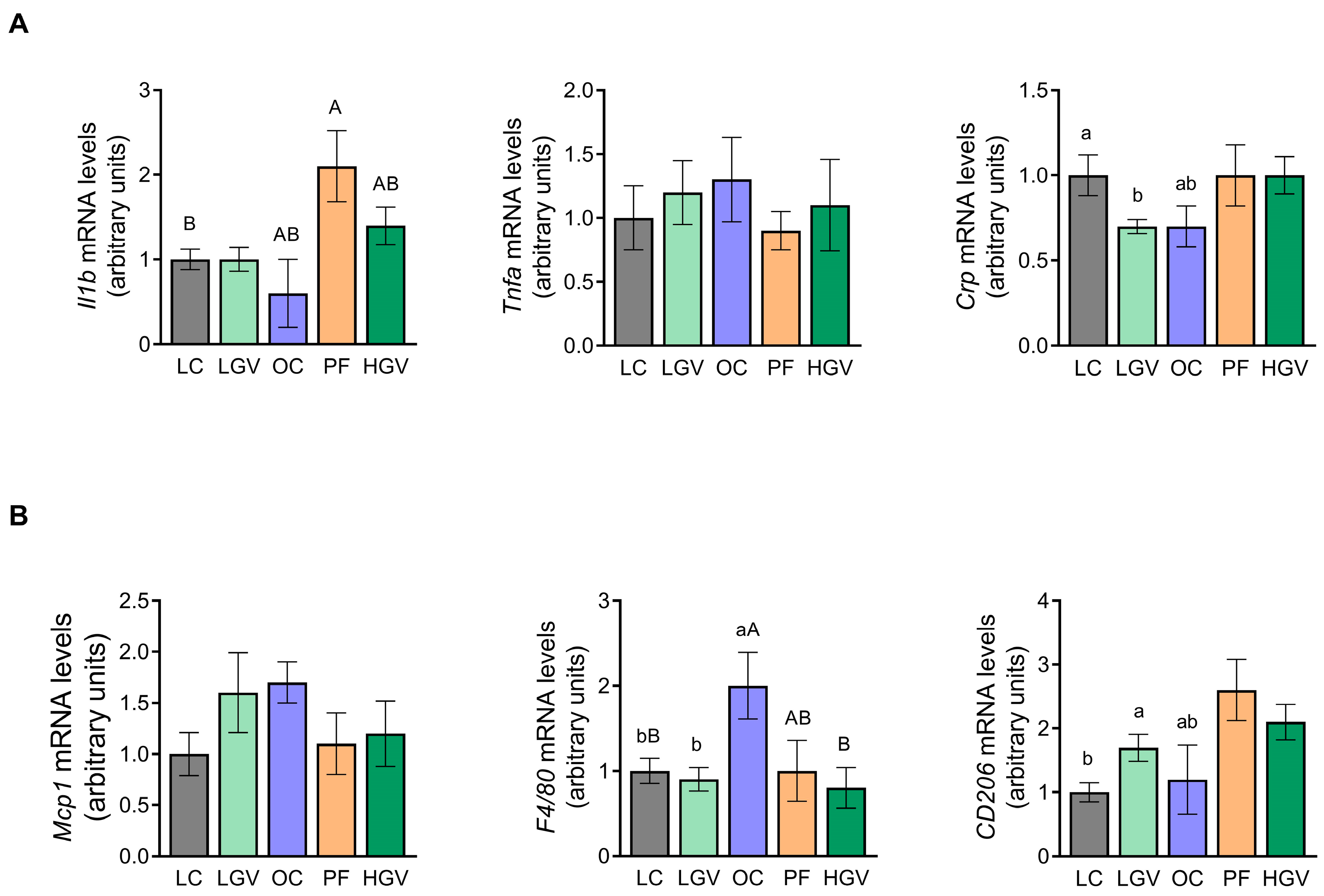 Antioxidants 13 00369 g012