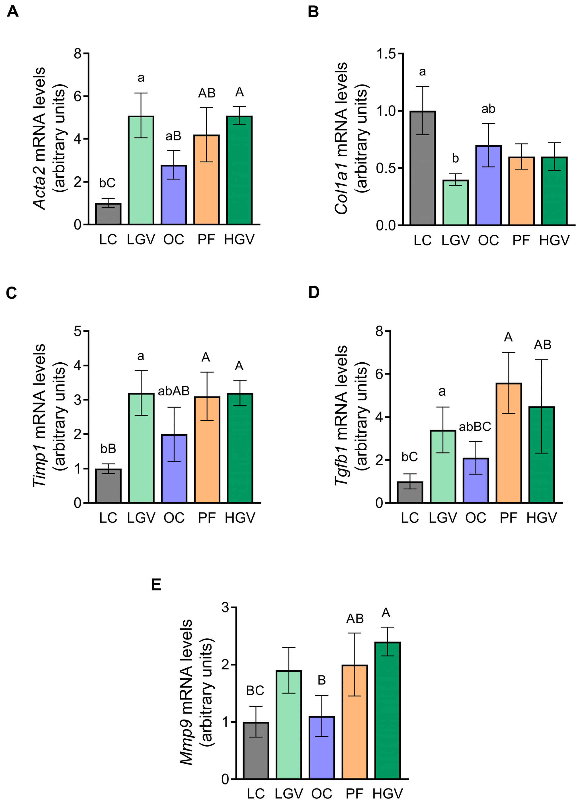 Antioxidants 13 00369 g013