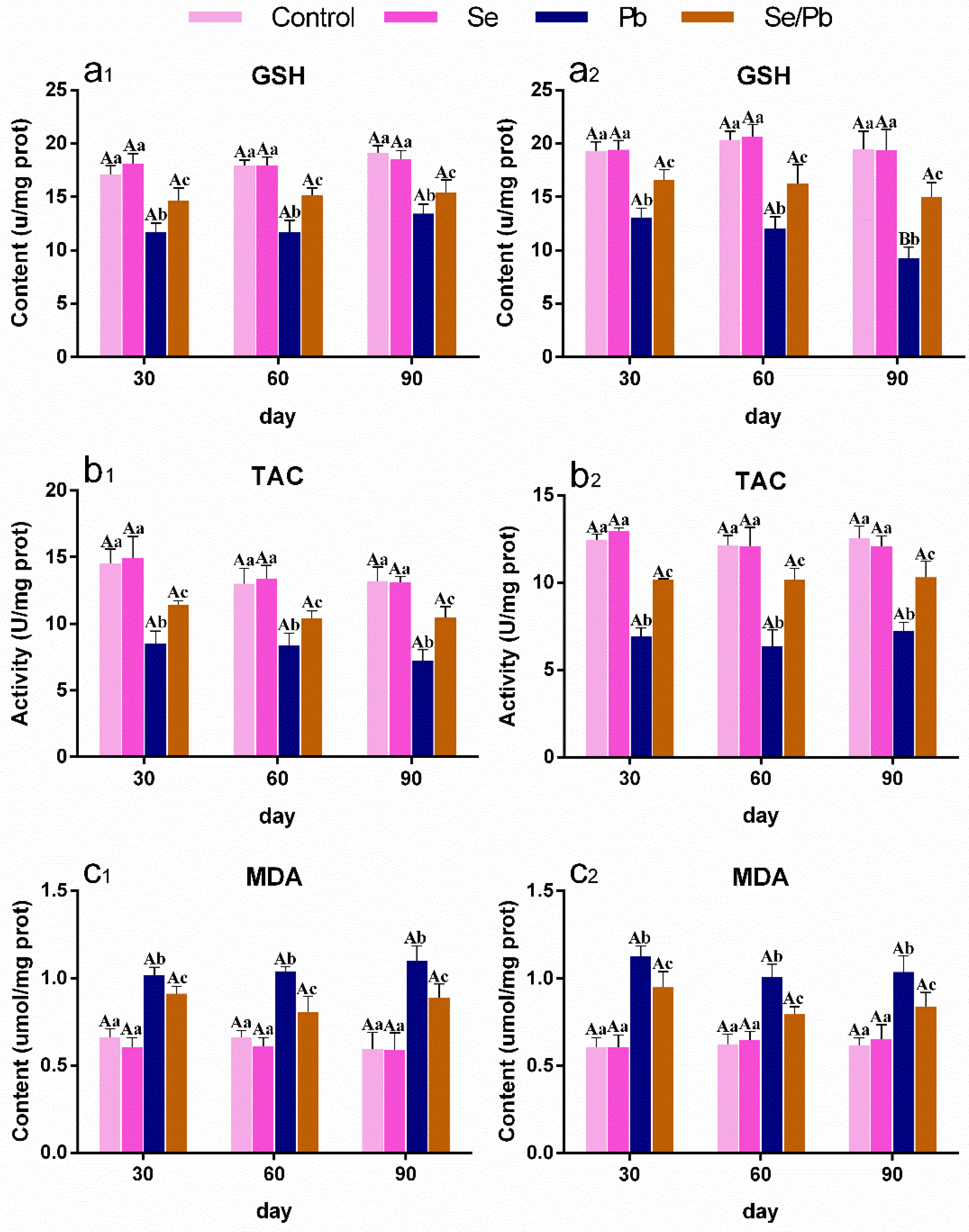 Antioxidants 13 00370 g002