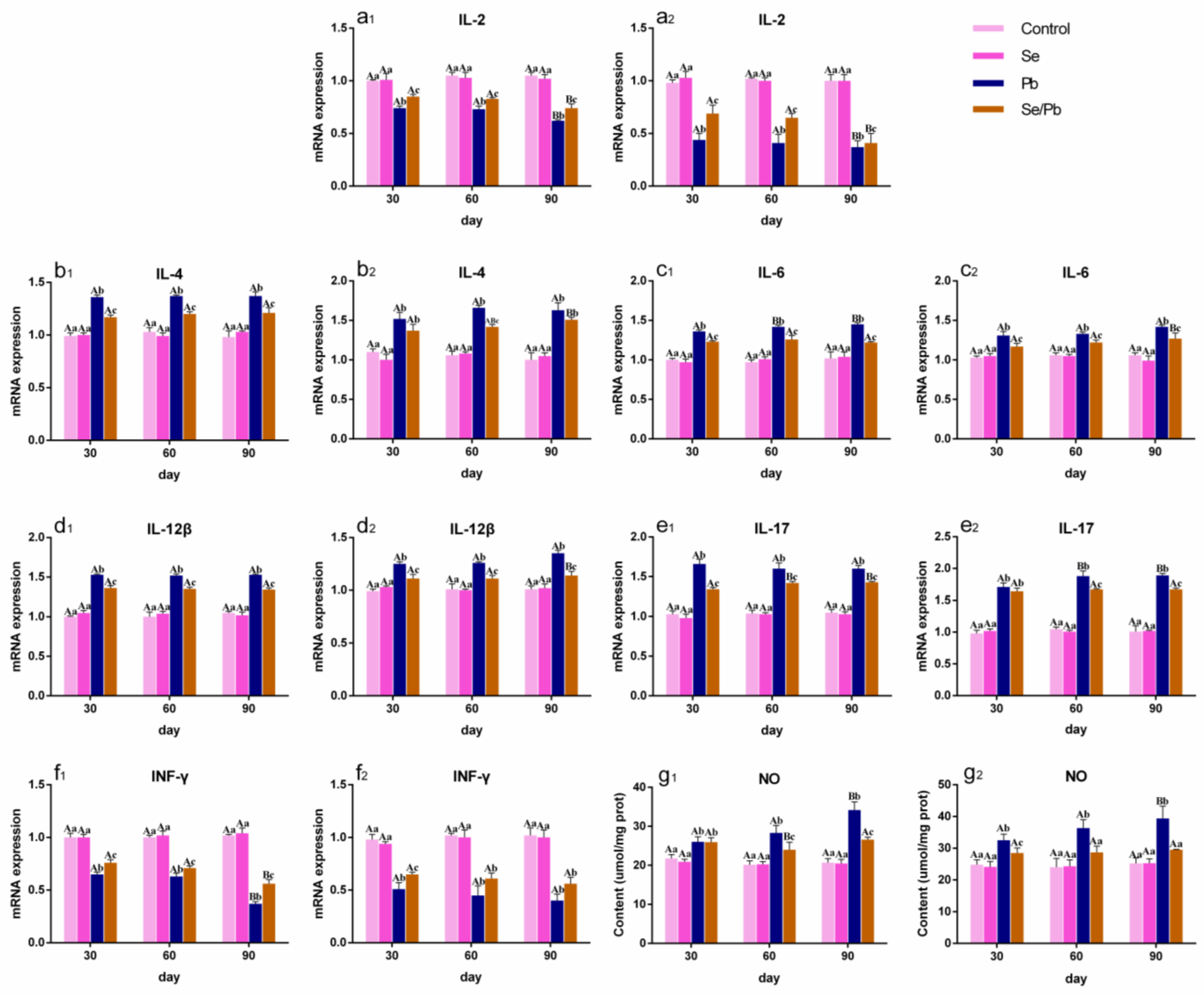 Antioxidants 13 00370 g003