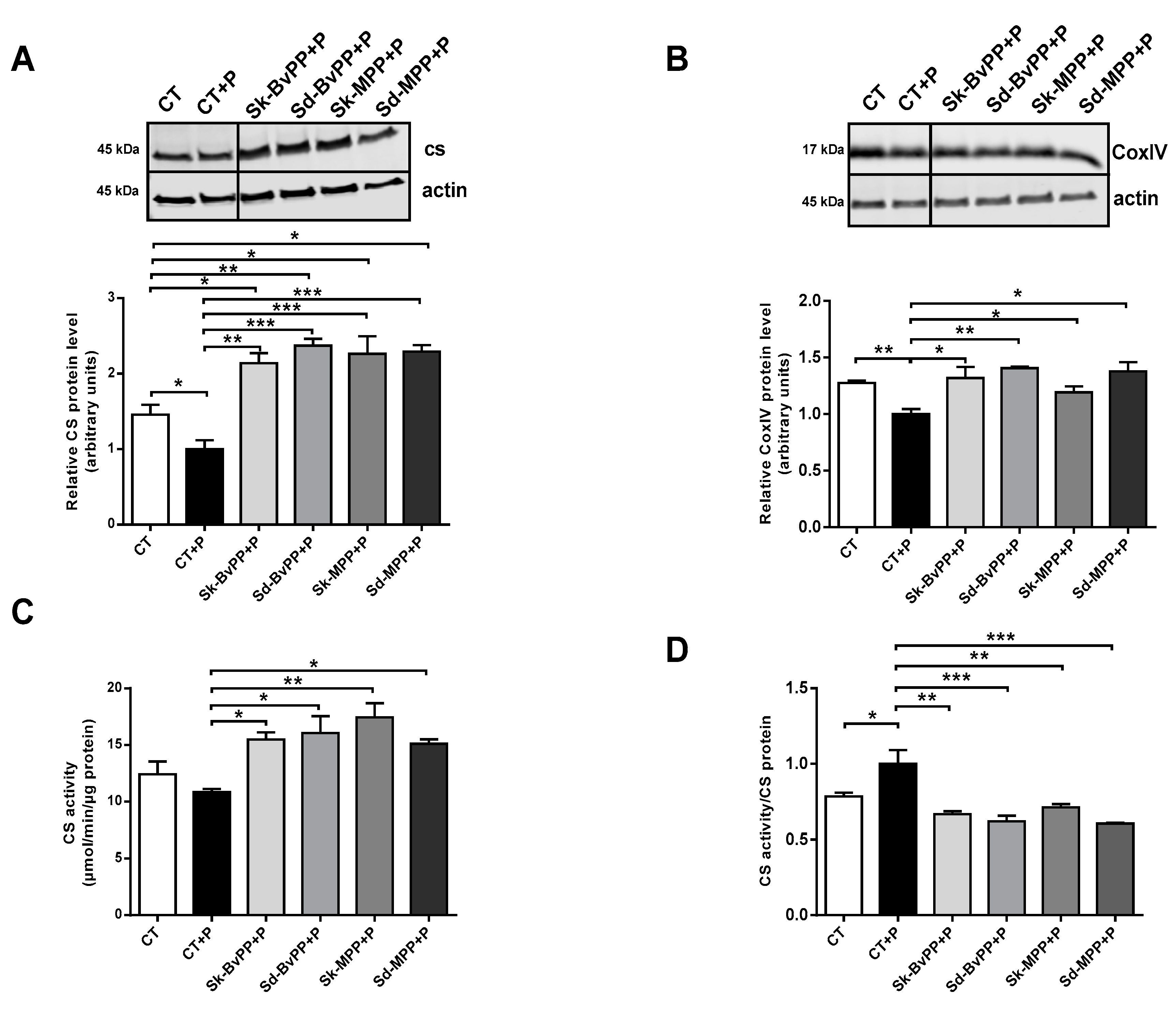 Antioxidants 13 00373 g004