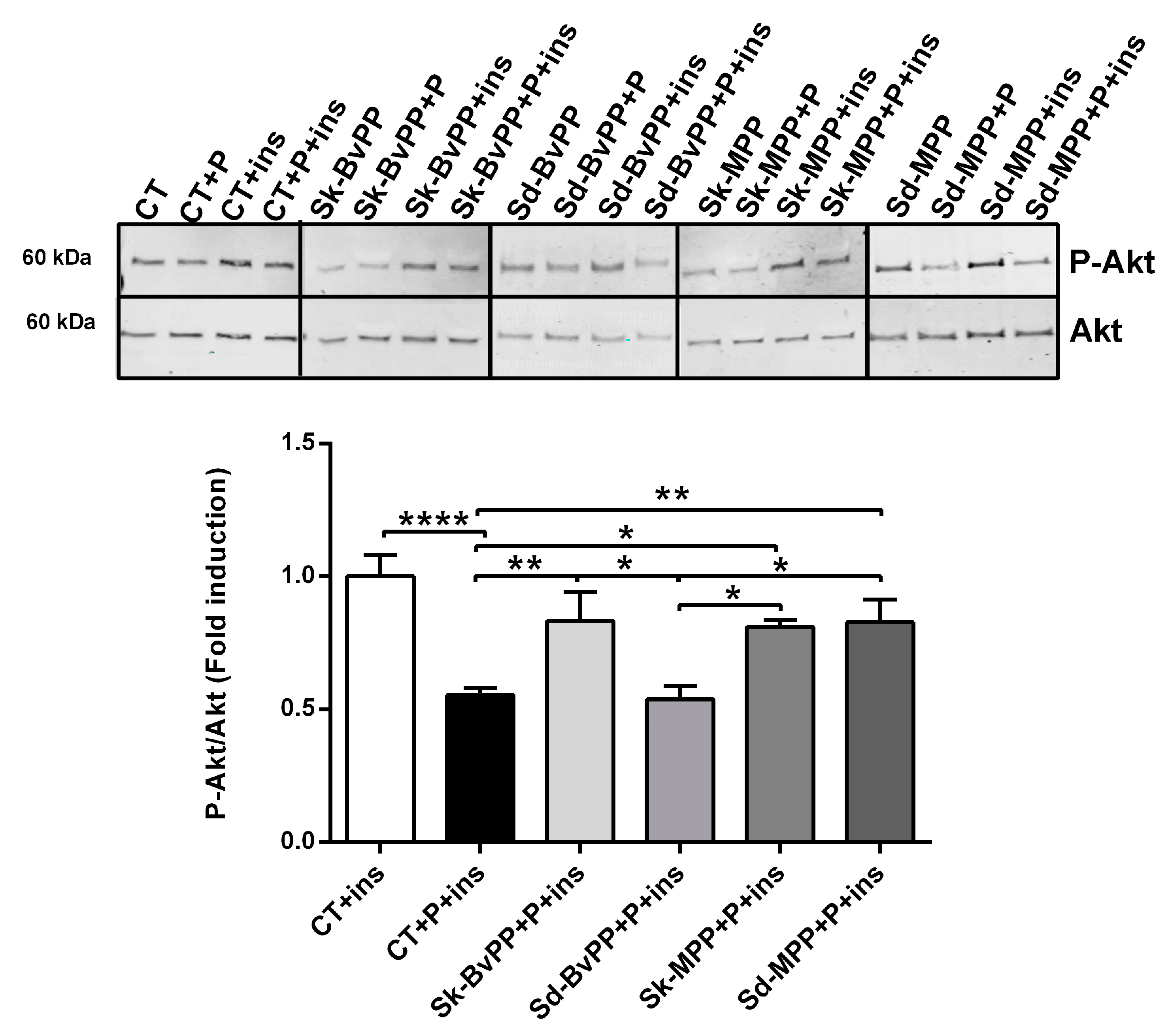 Antioxidants 13 00373 g005