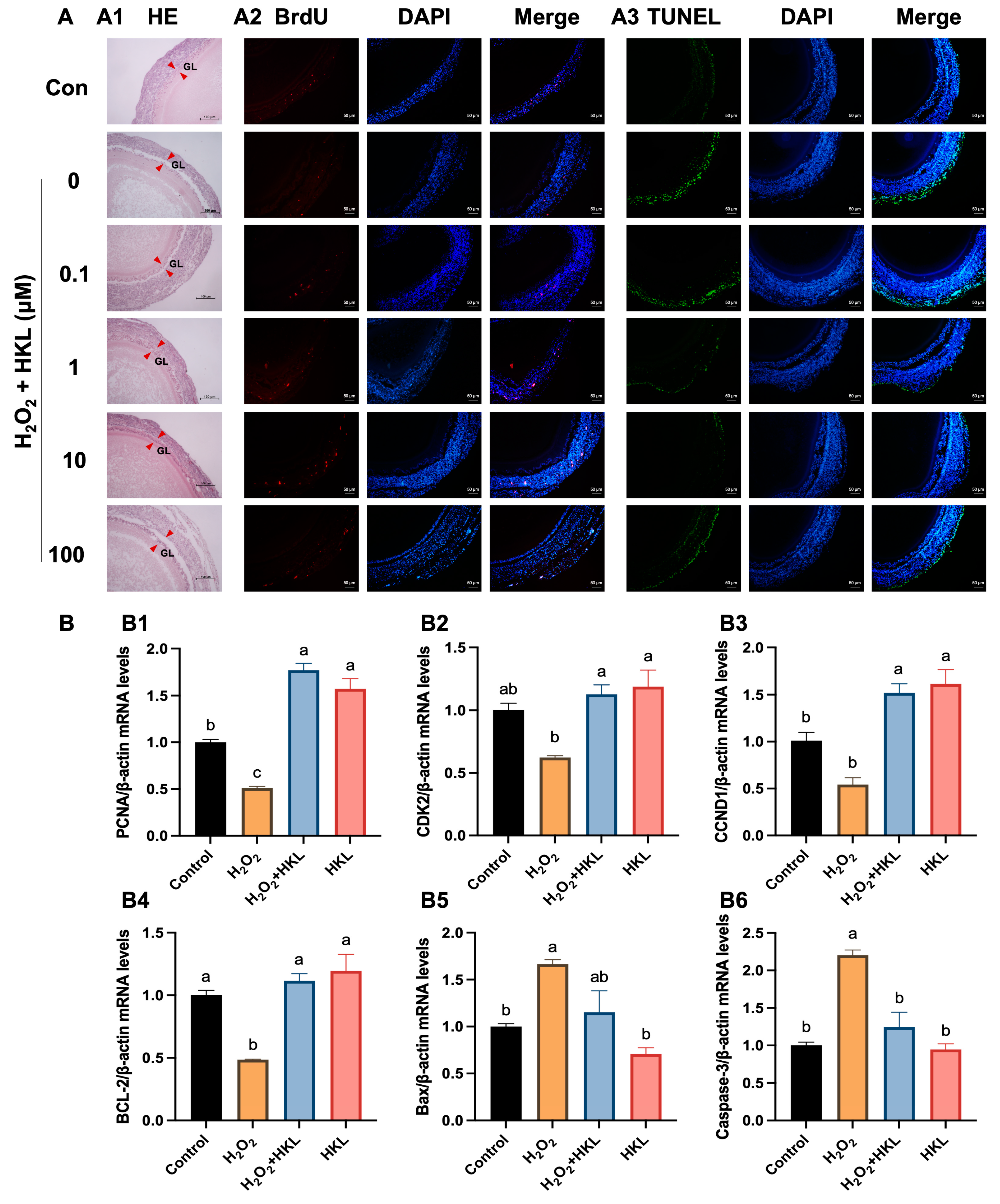 Antioxidants 13 00377 g001
