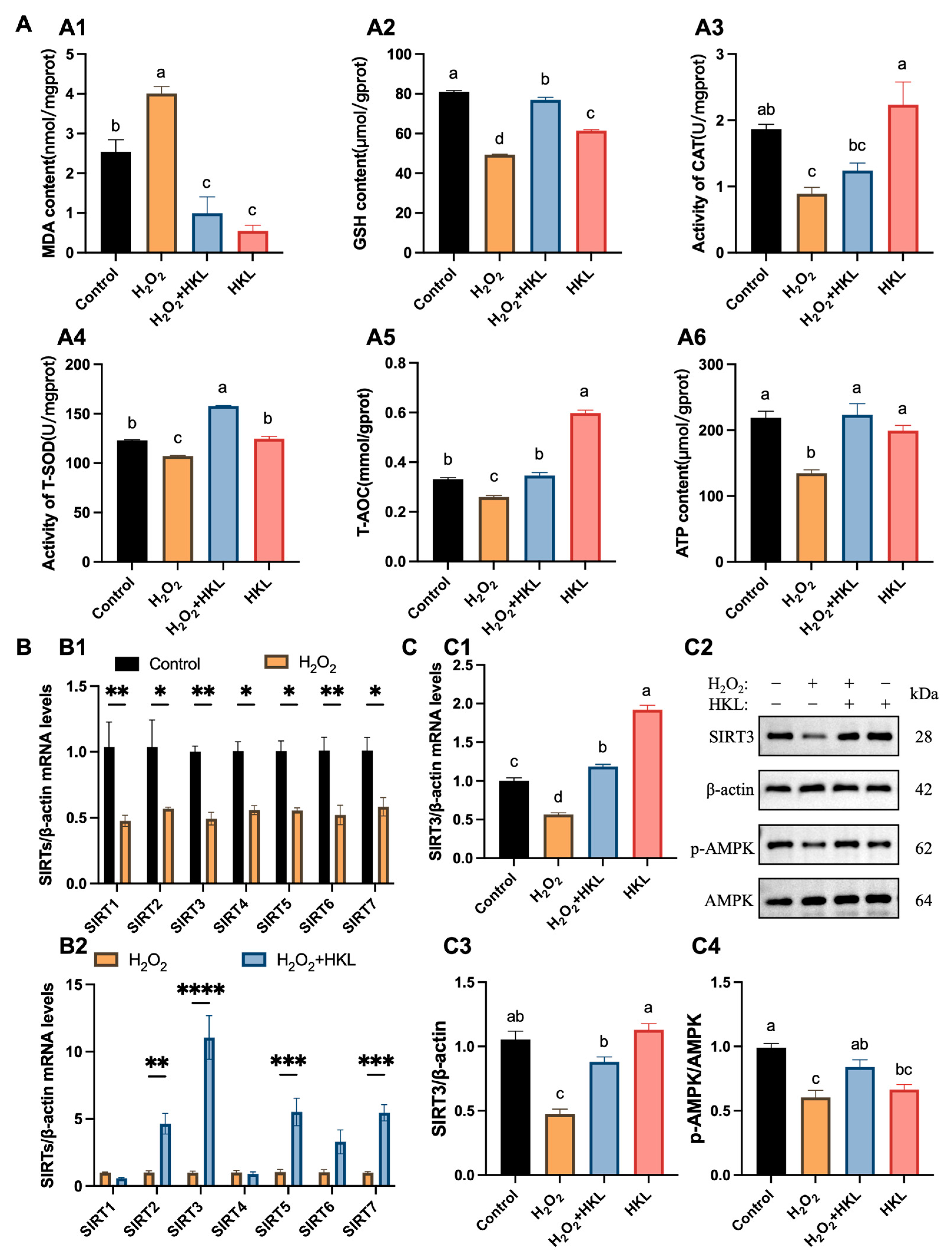 Antioxidants 13 00377 g002