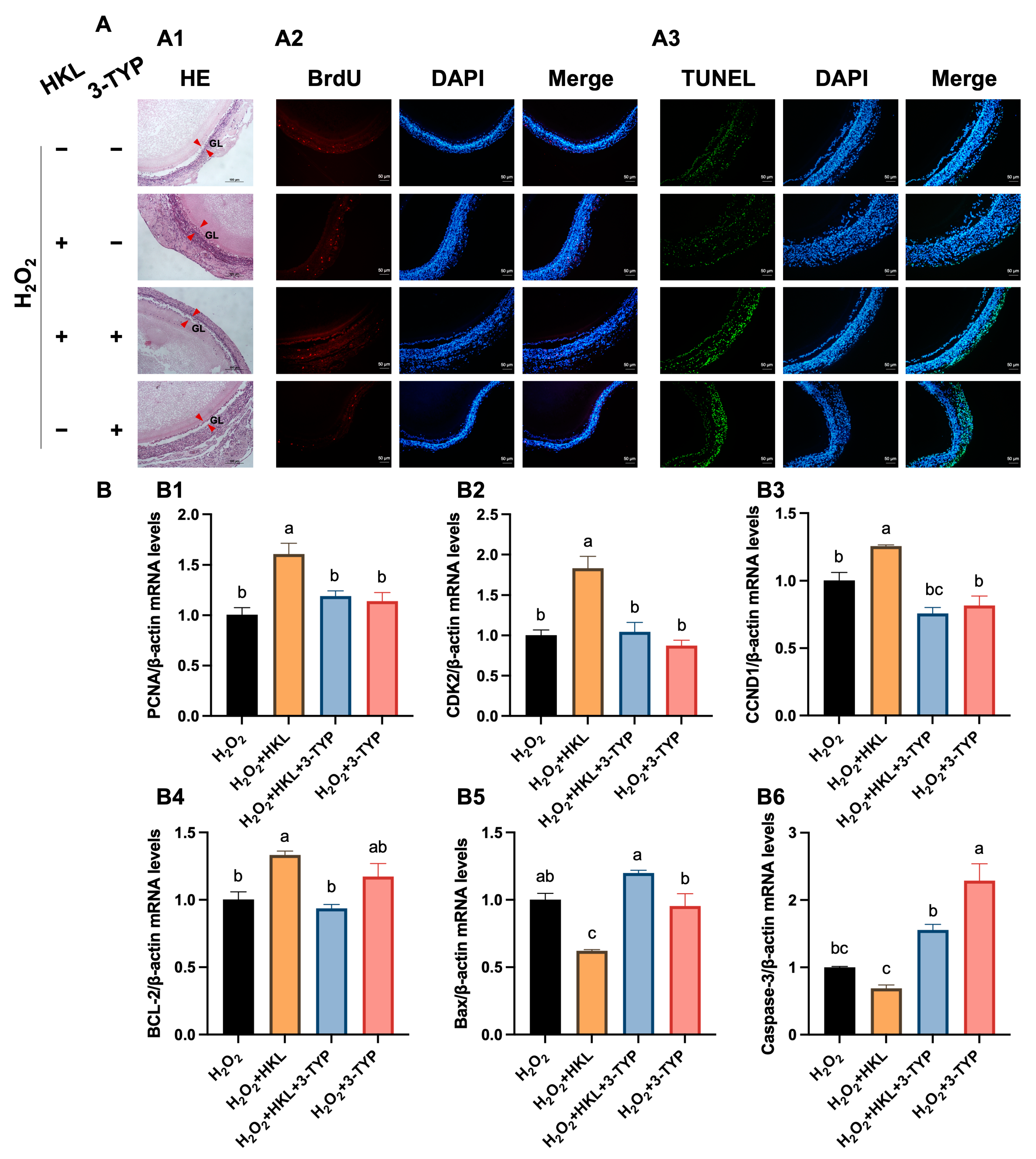 Antioxidants 13 00377 g003