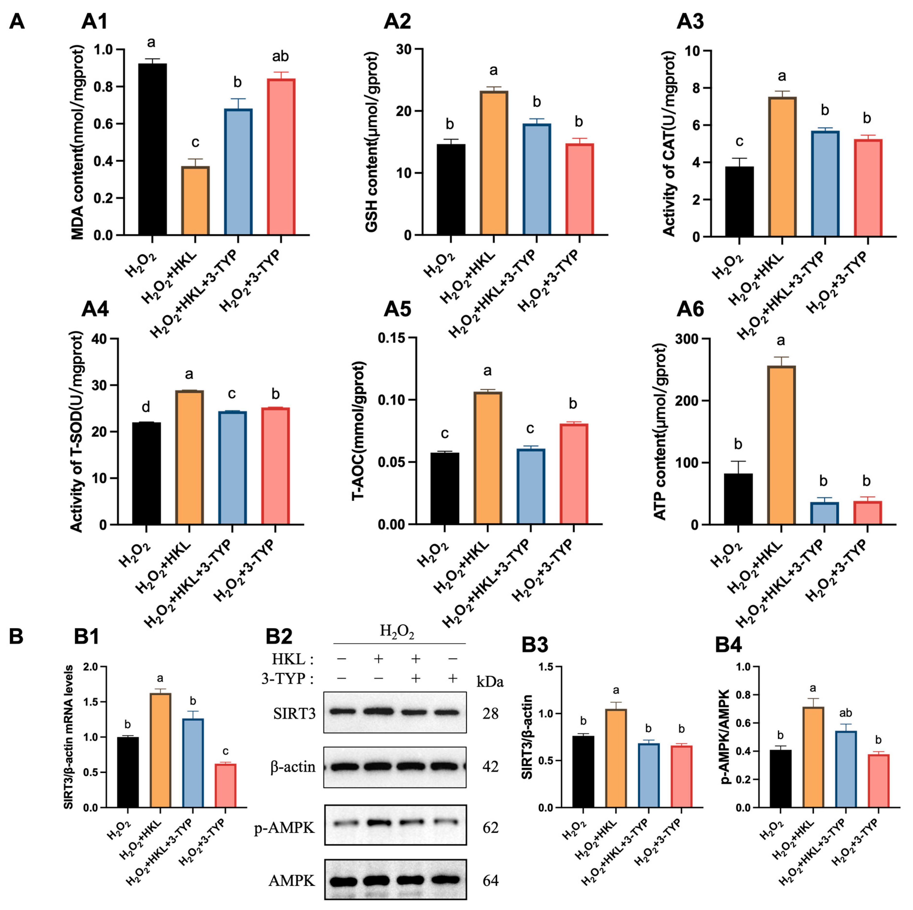 Antioxidants 13 00377 g004