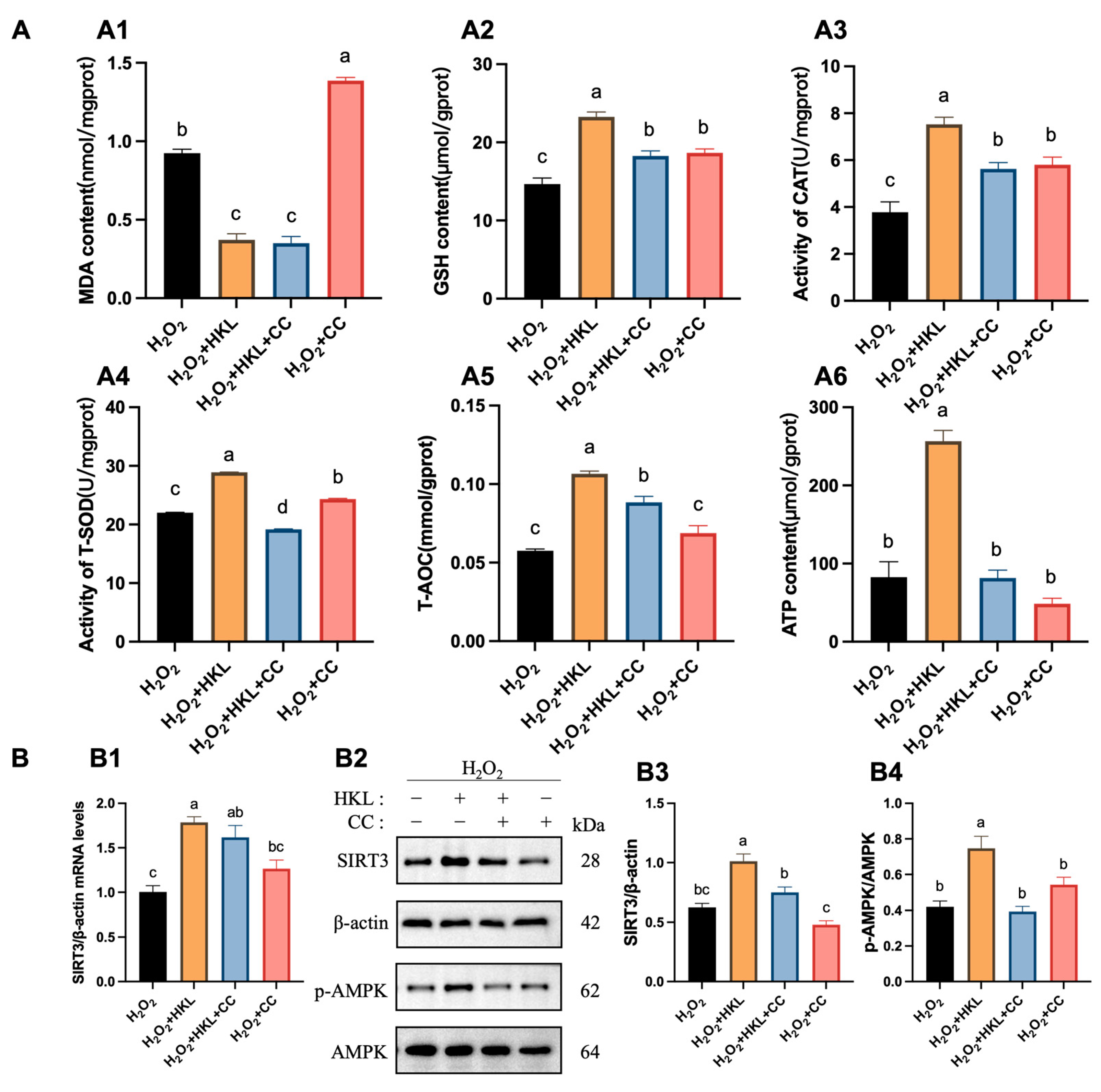 Antioxidants 13 00377 g006