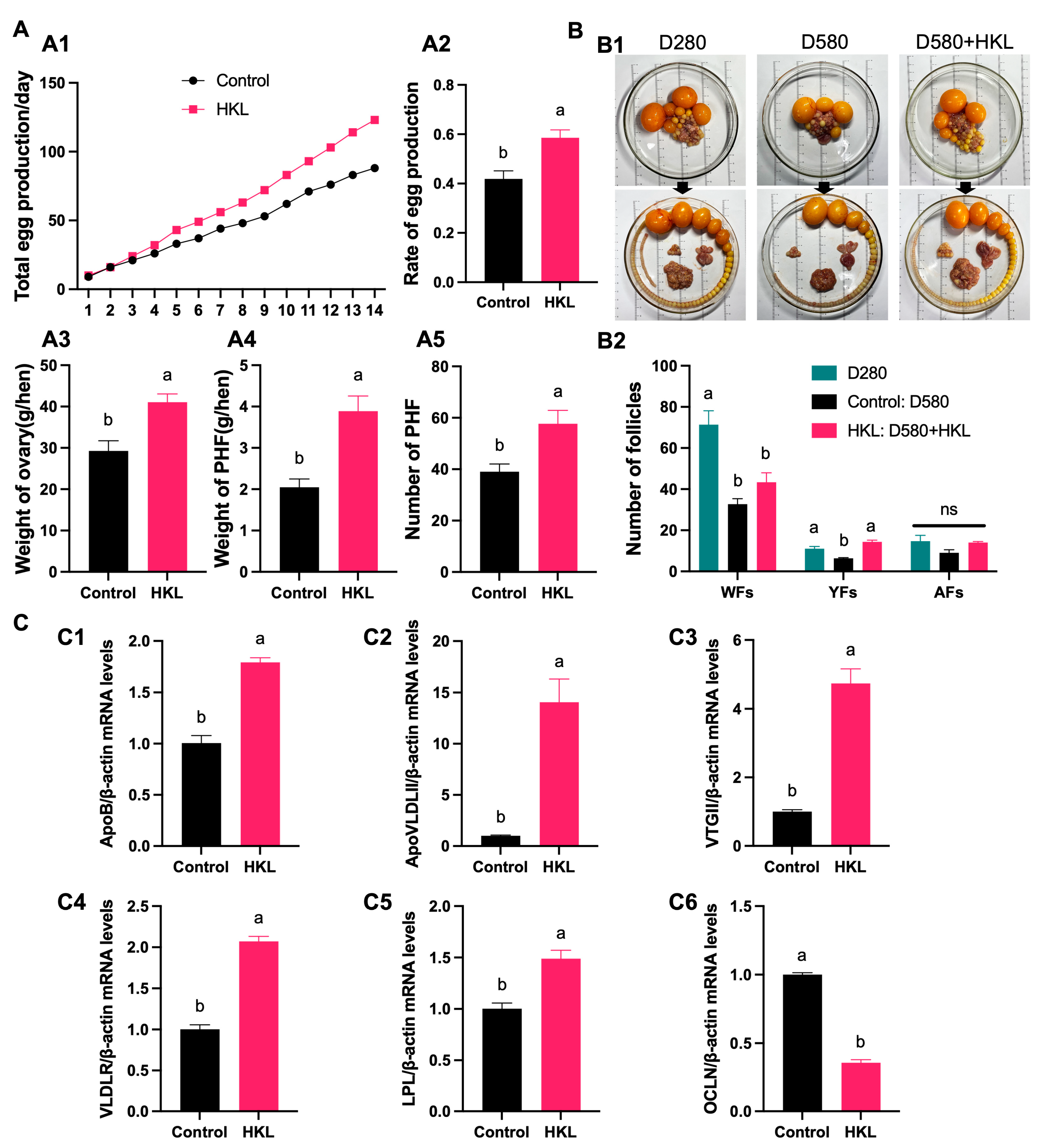 Antioxidants 13 00377 g007