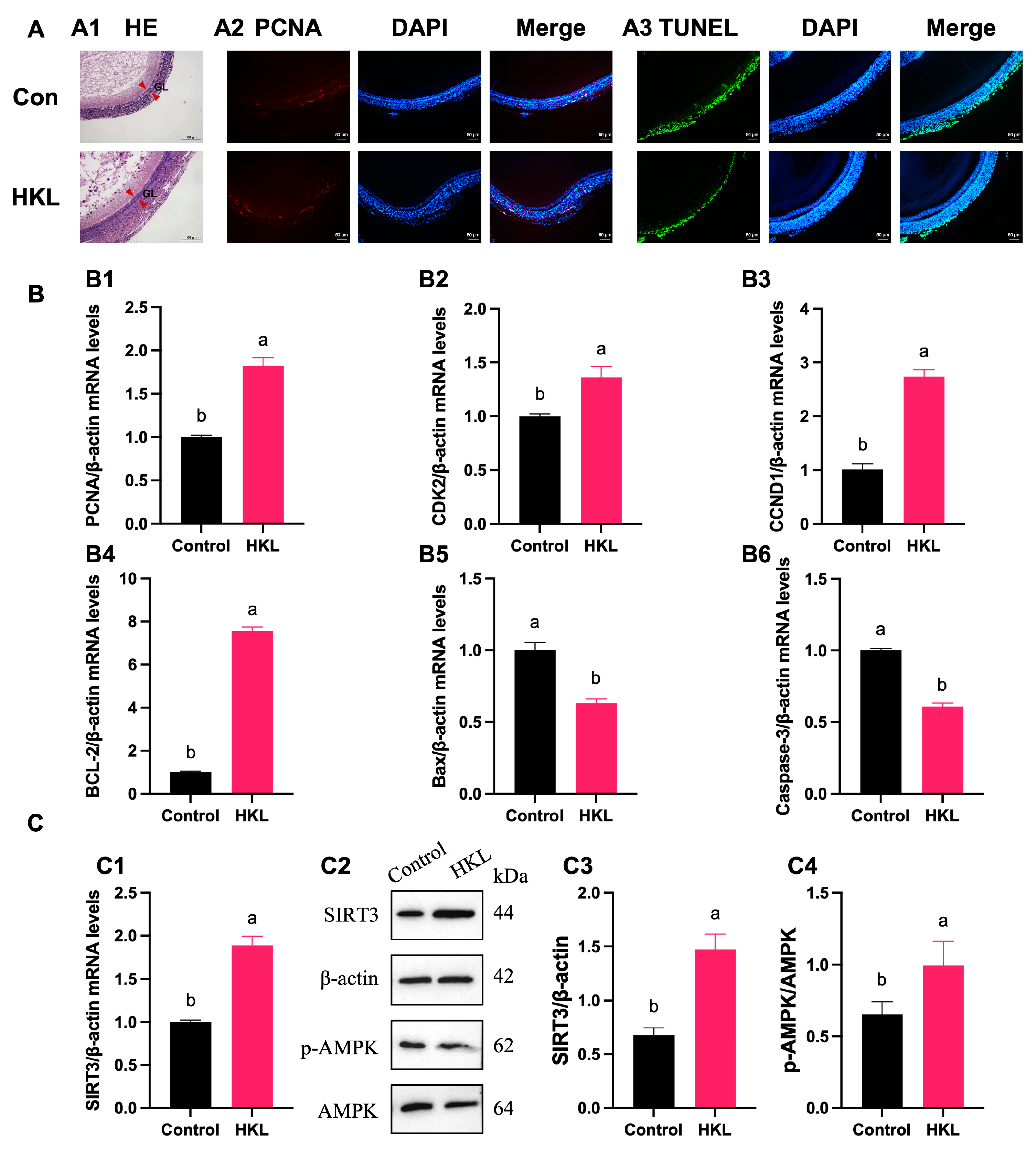 Antioxidants 13 00377 g009
