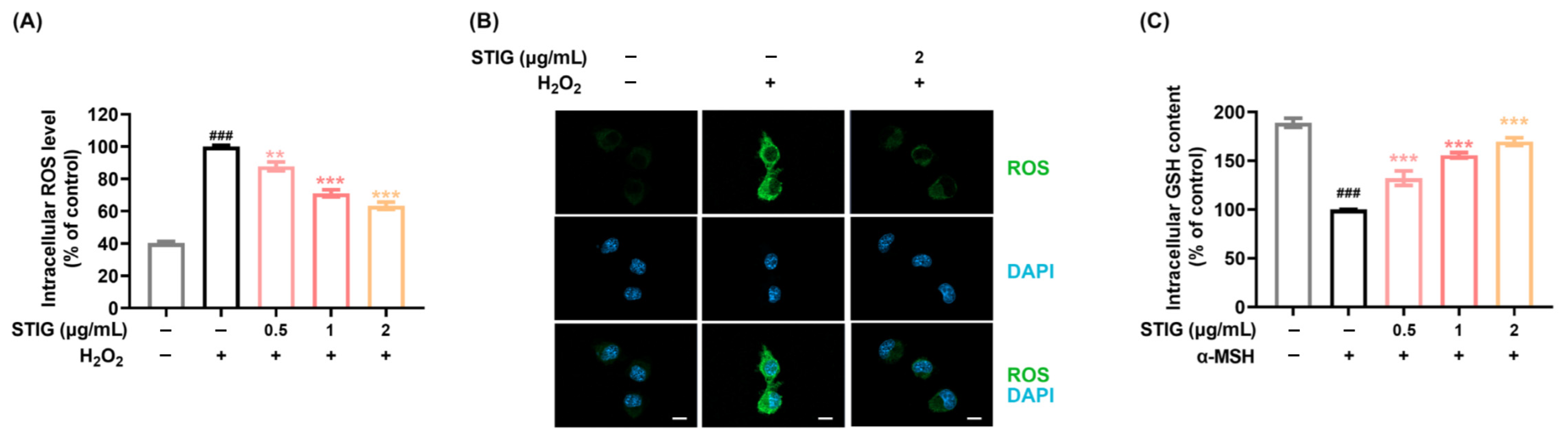 Antioxidants 13 00380 g001