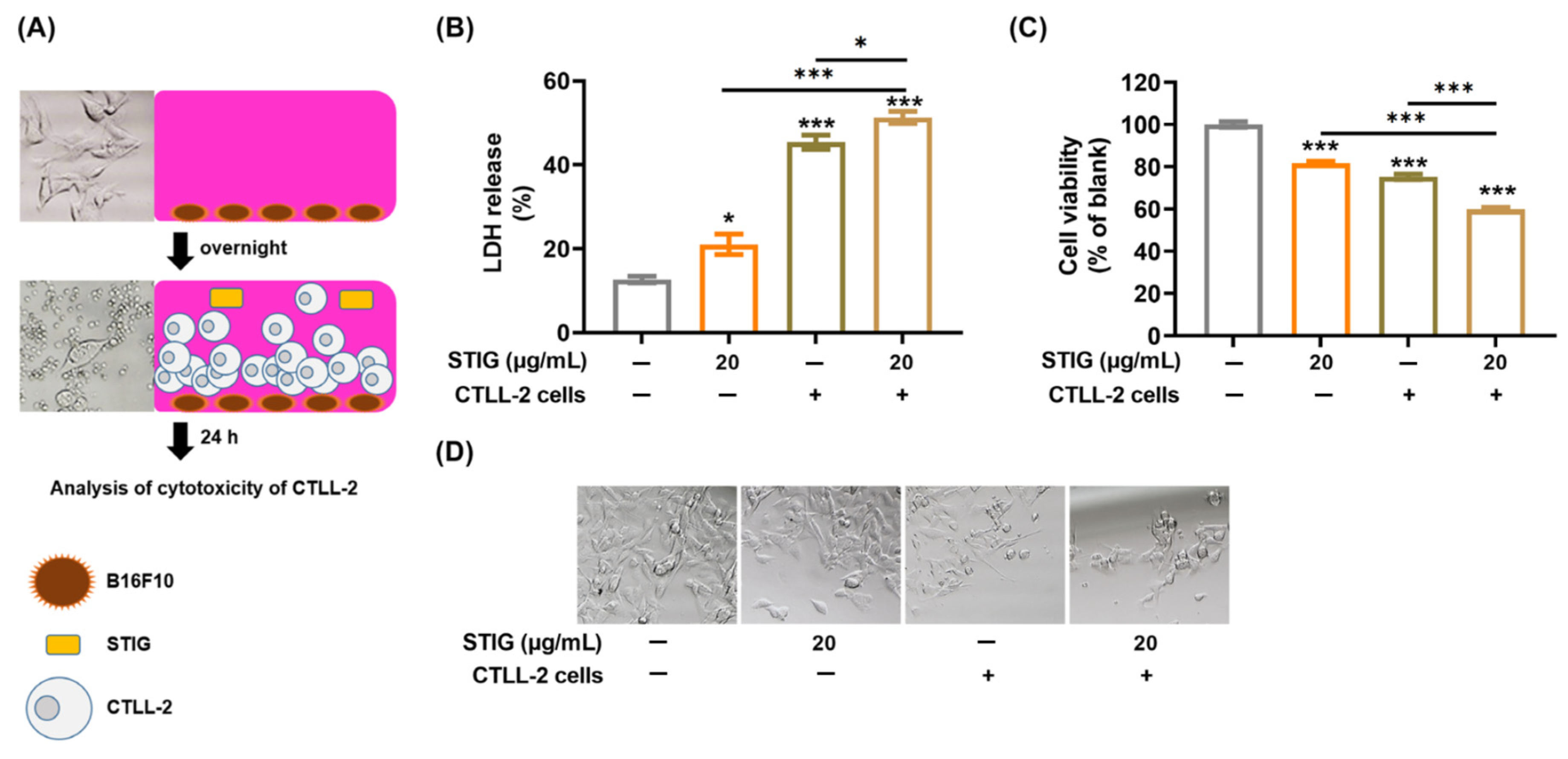 Antioxidants 13 00380 g007