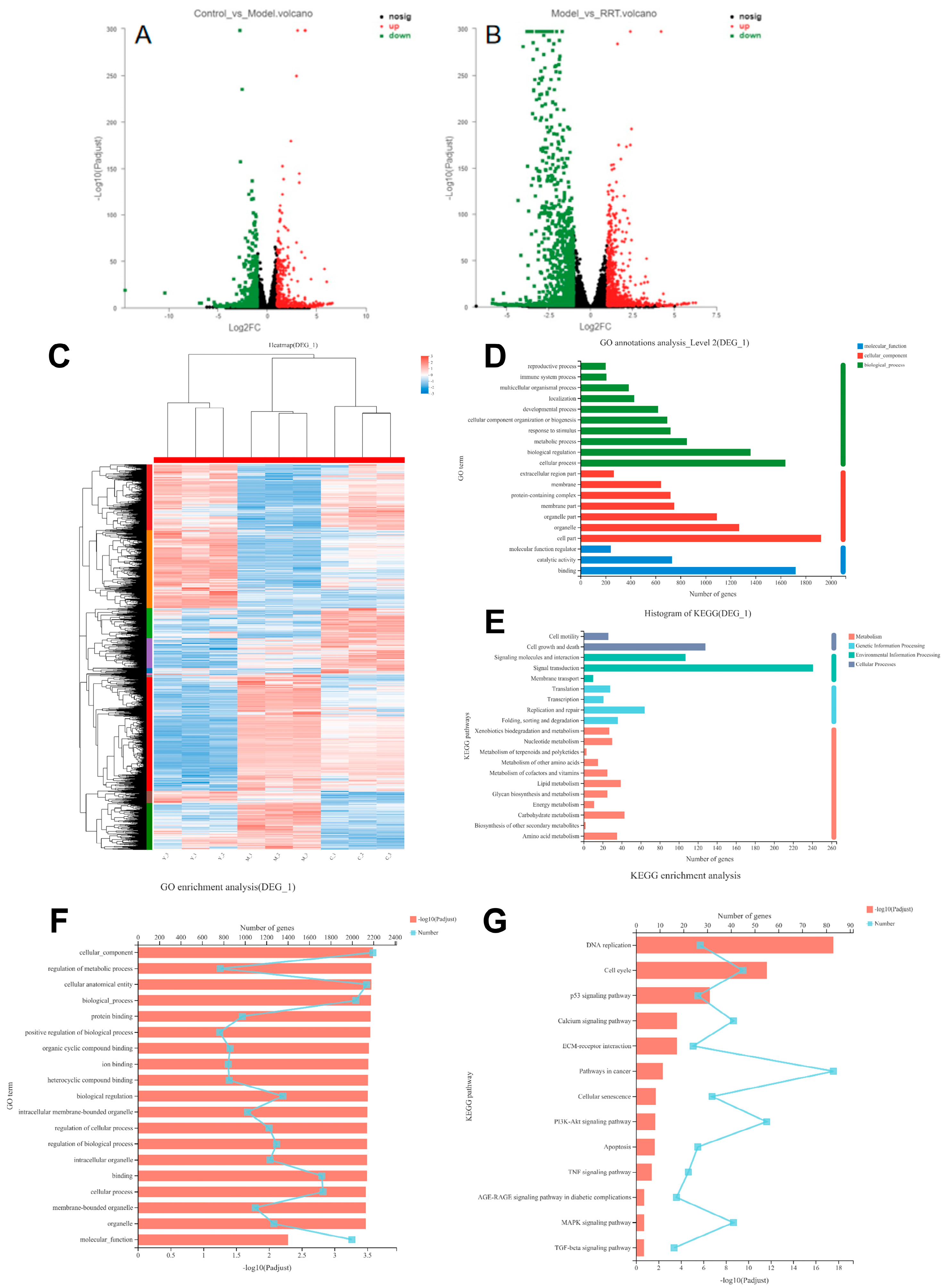 Antioxidants 13 00382 g006
