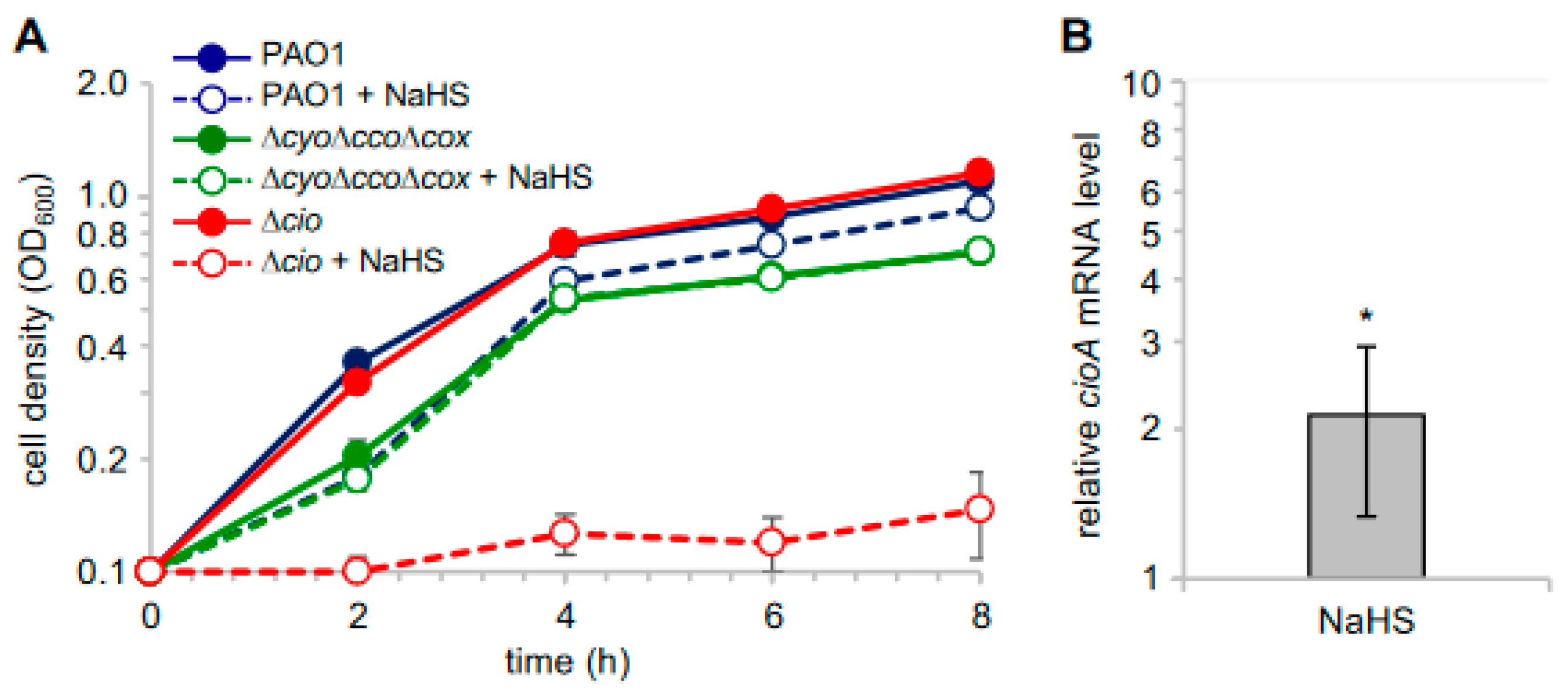 Antioxidants 13 00383 g004
