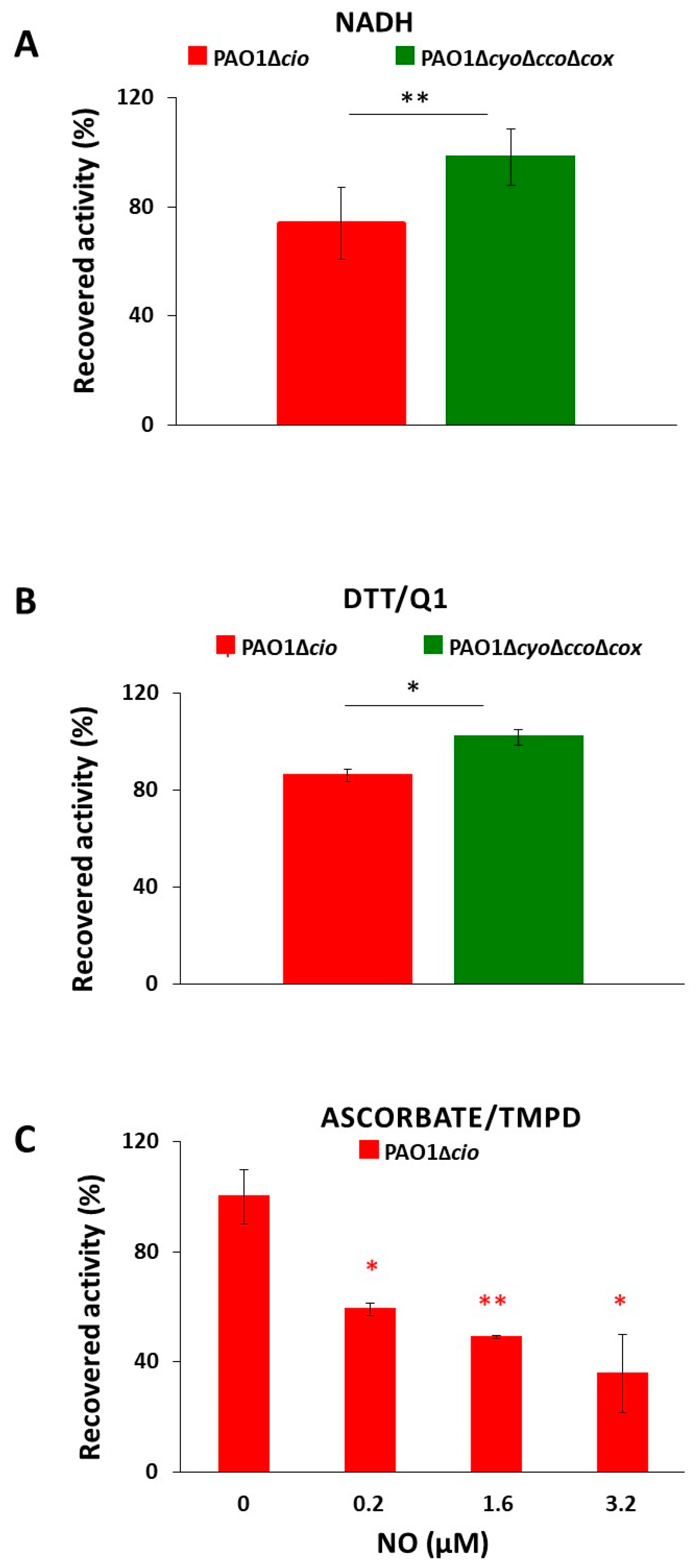 Antioxidants 13 00383 g006
