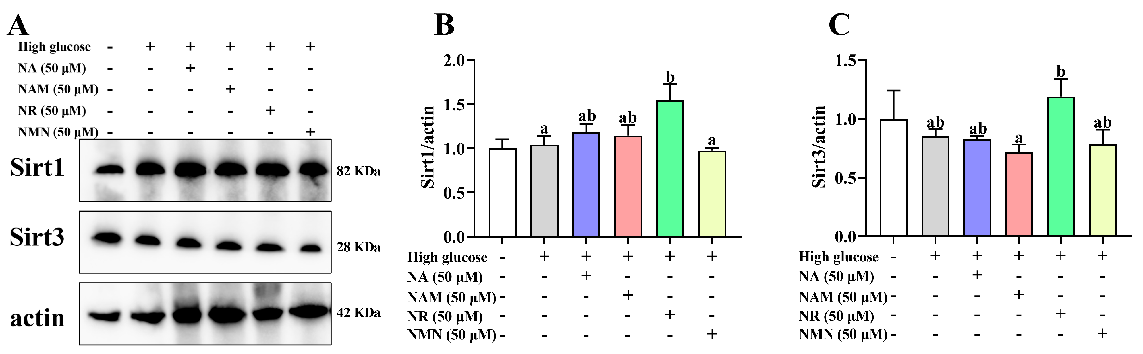 Antioxidants 13 00385 g004
