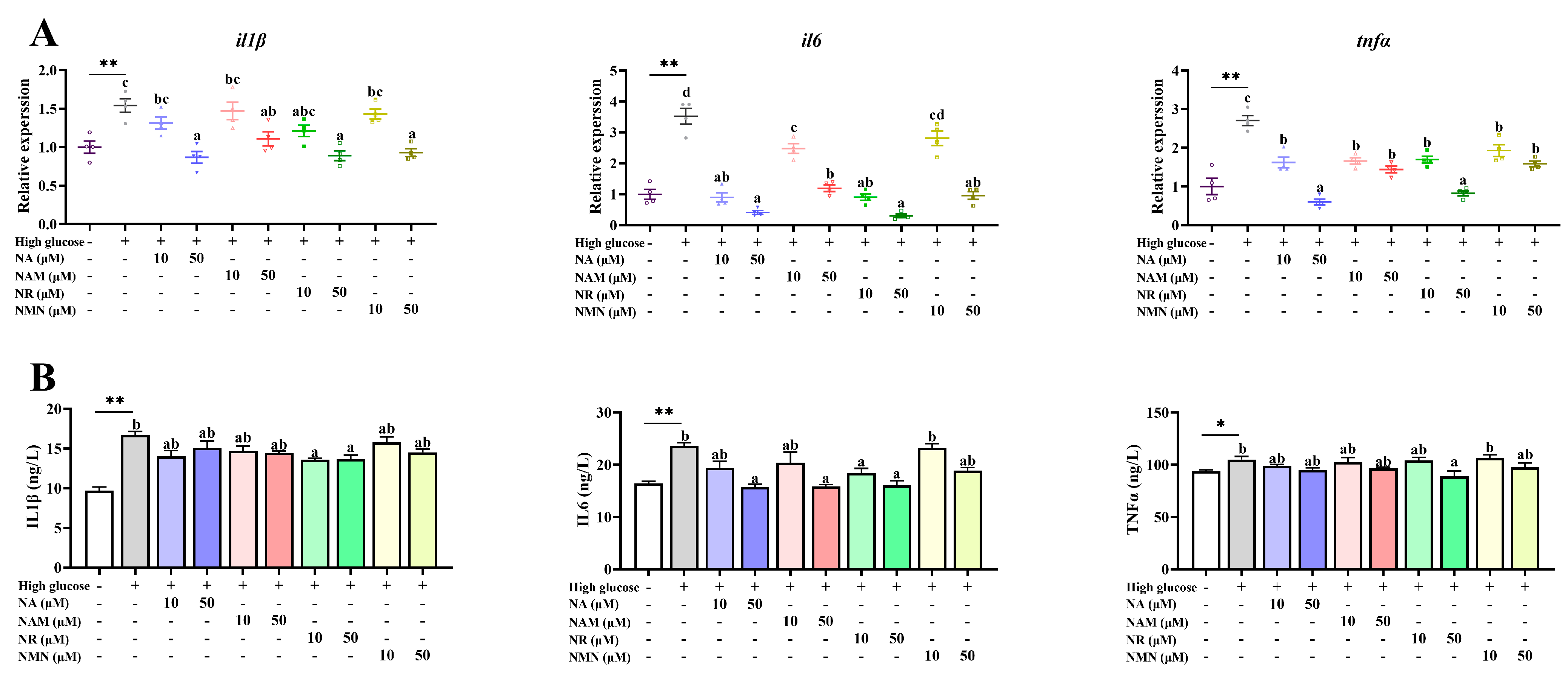 Antioxidants 13 00385 g006