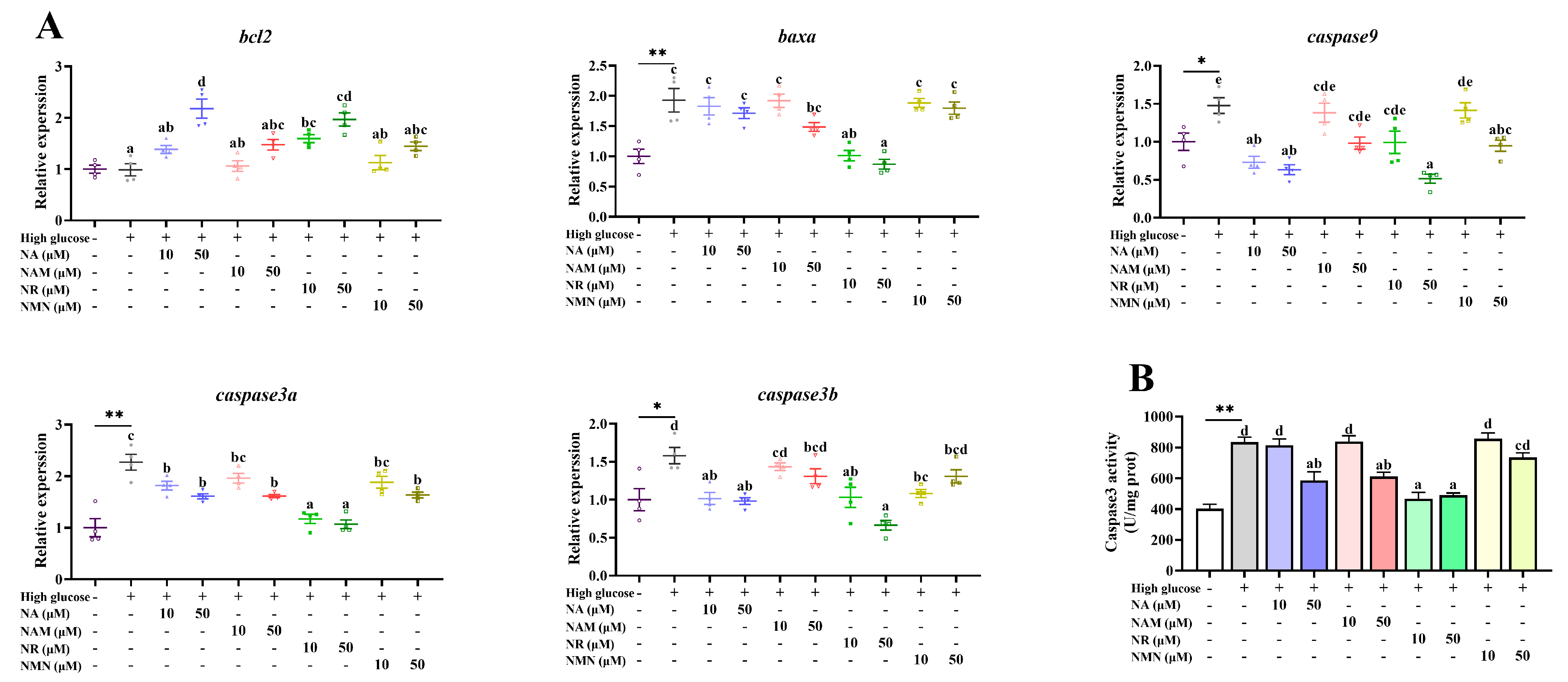 Antioxidants 13 00385 g007