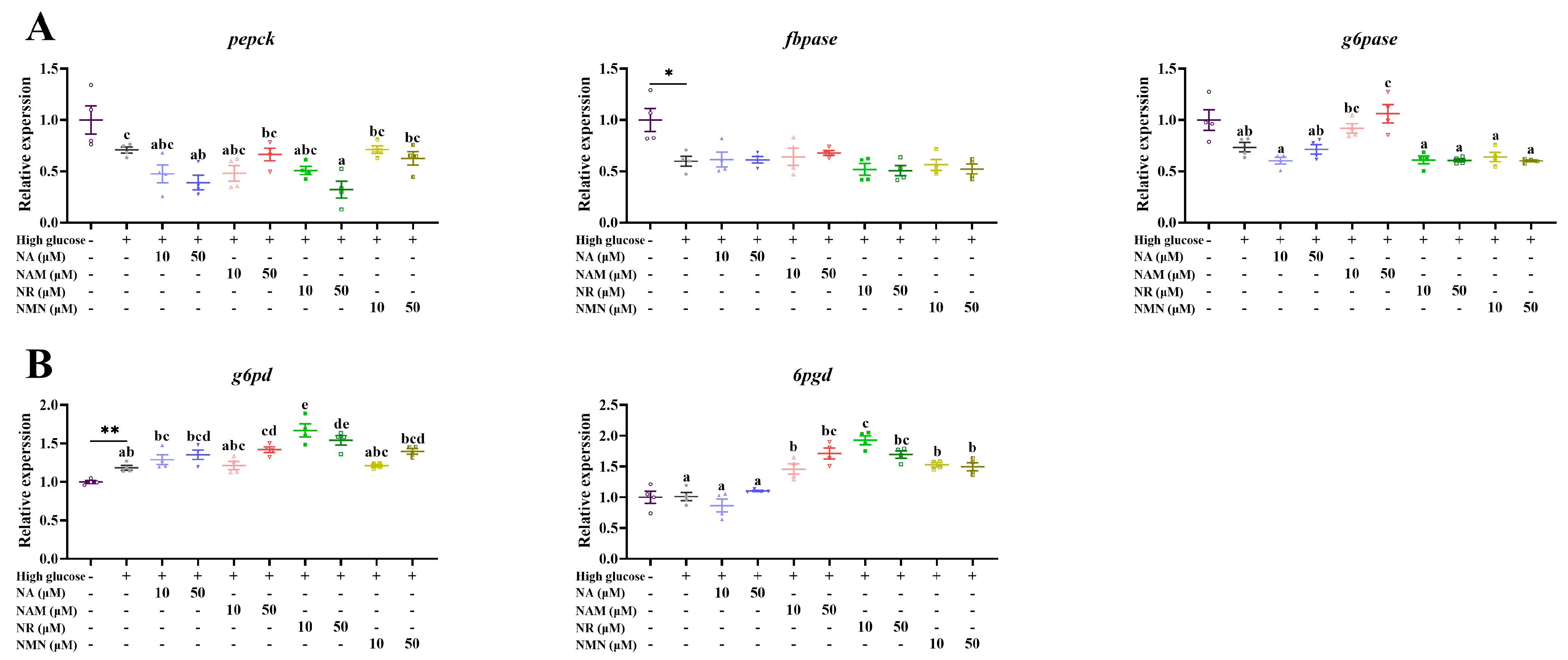 Antioxidants 13 00385 g010