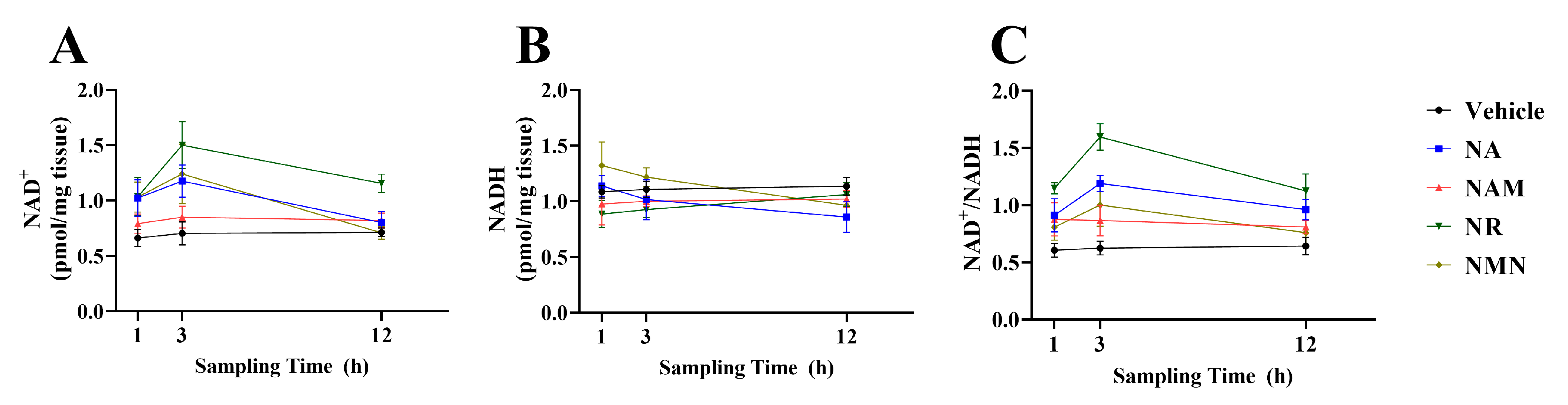 Antioxidants 13 00385 g011