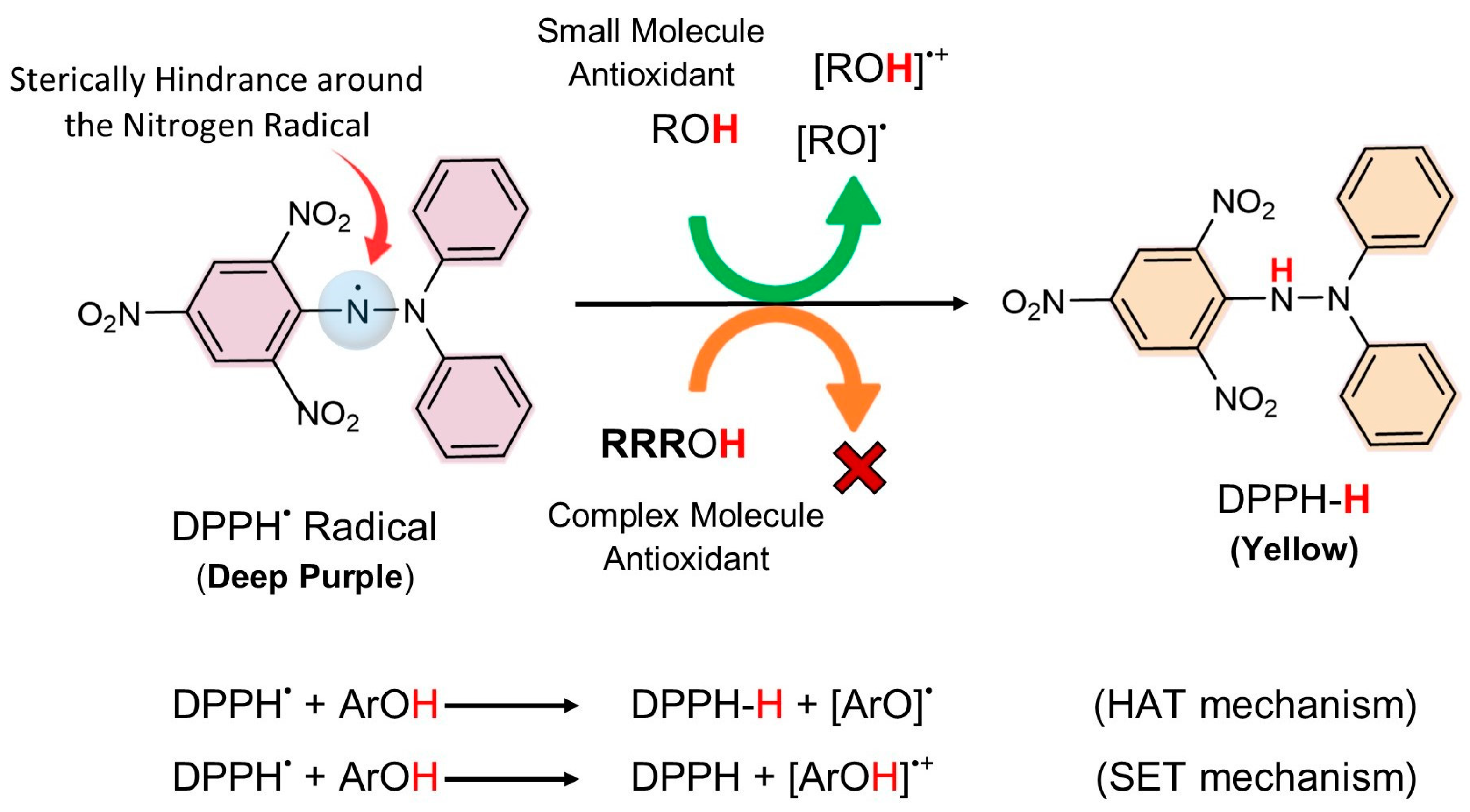 Antioxidants 13 00386 g007