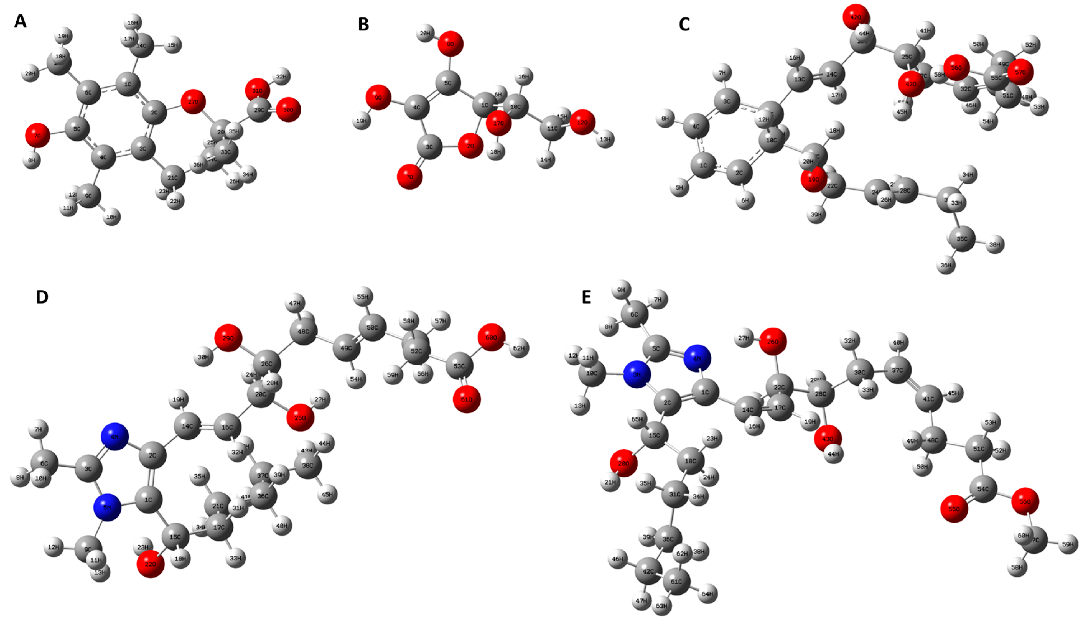 Antioxidants 13 00386 g013