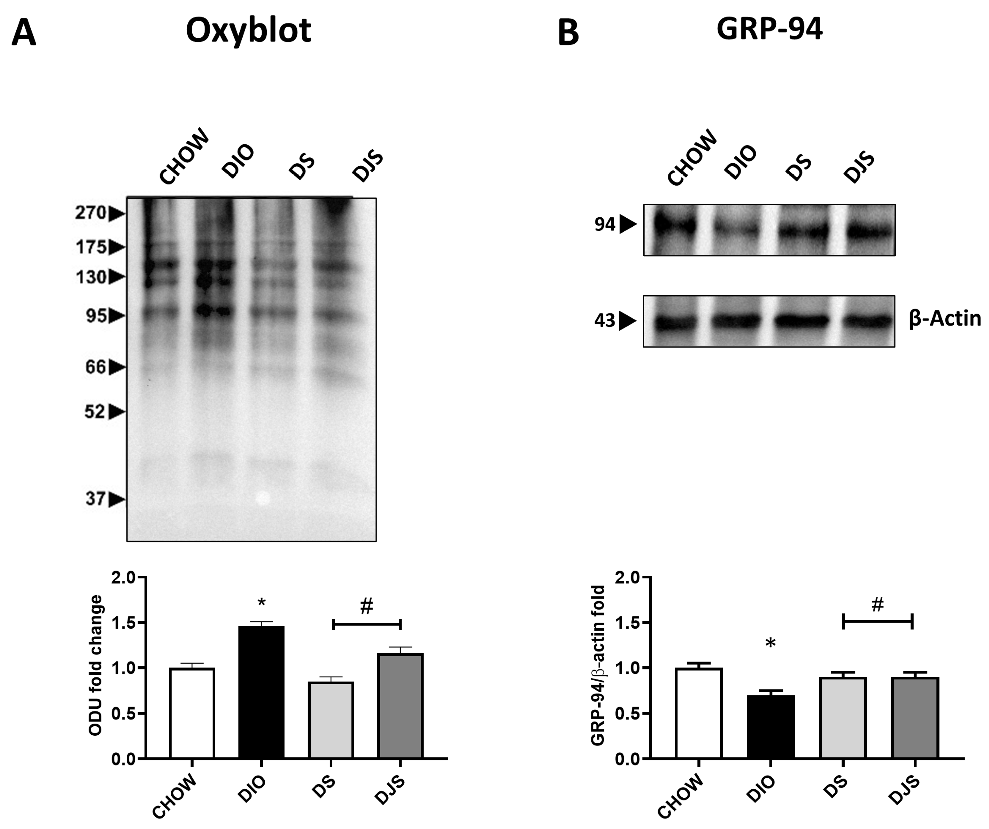 Antioxidants 13 00388 g005