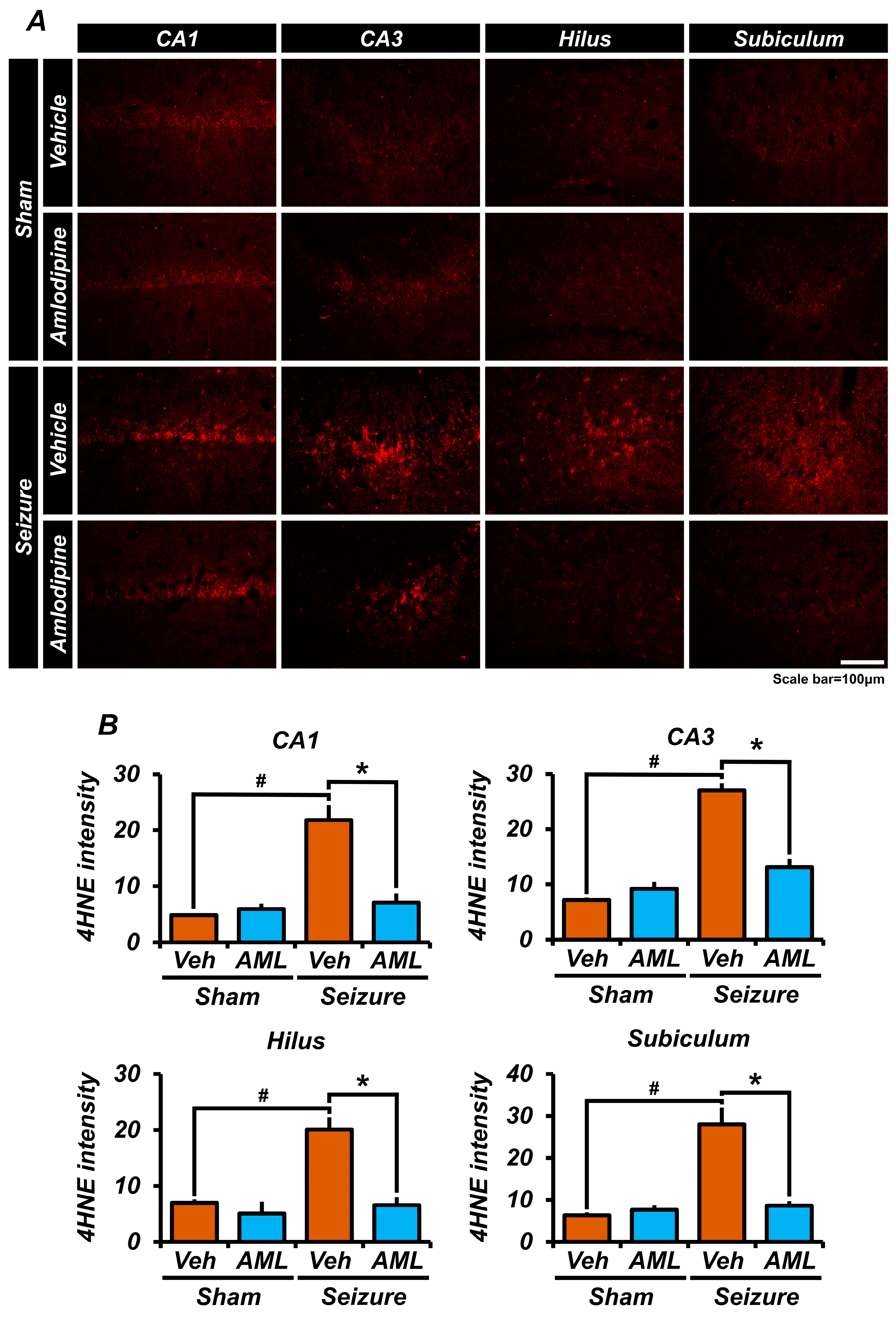 Antioxidants 13 00389 g002