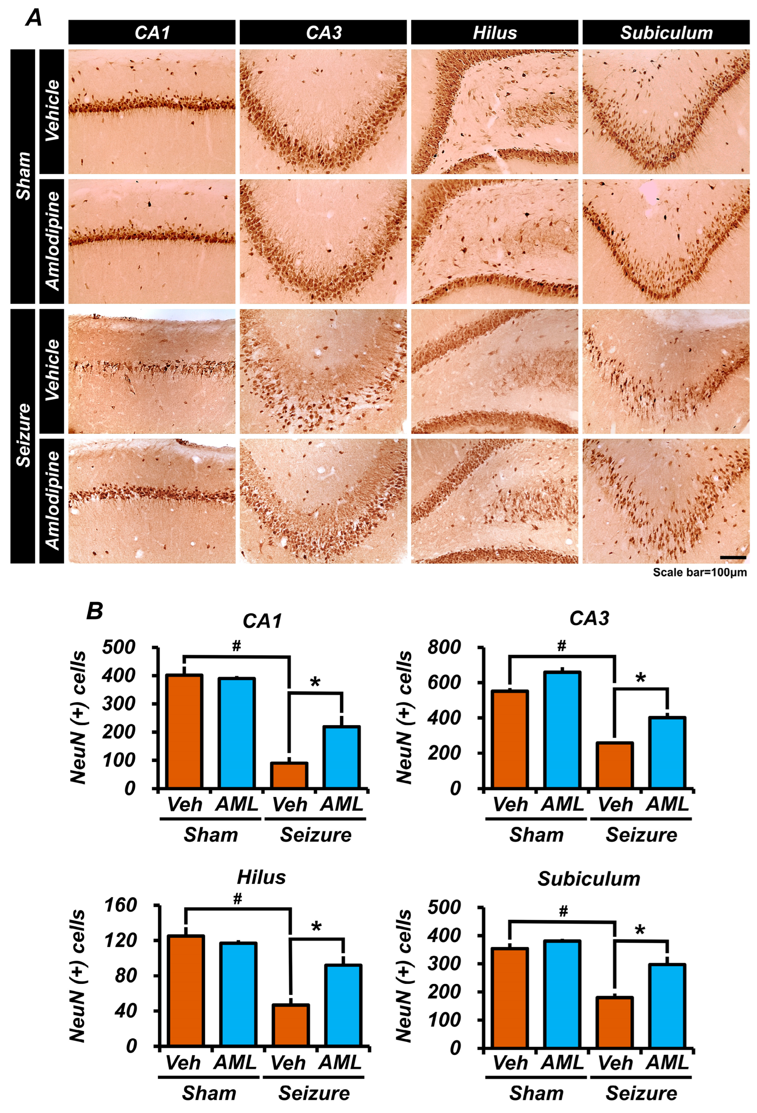 Antioxidants 13 00389 g003