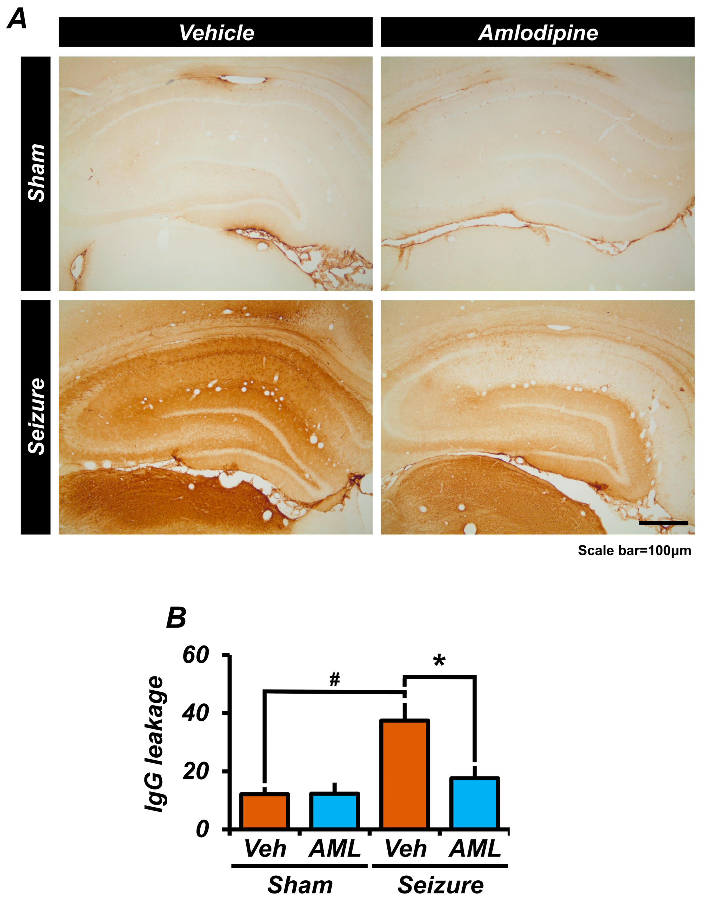 Antioxidants 13 00389 g004