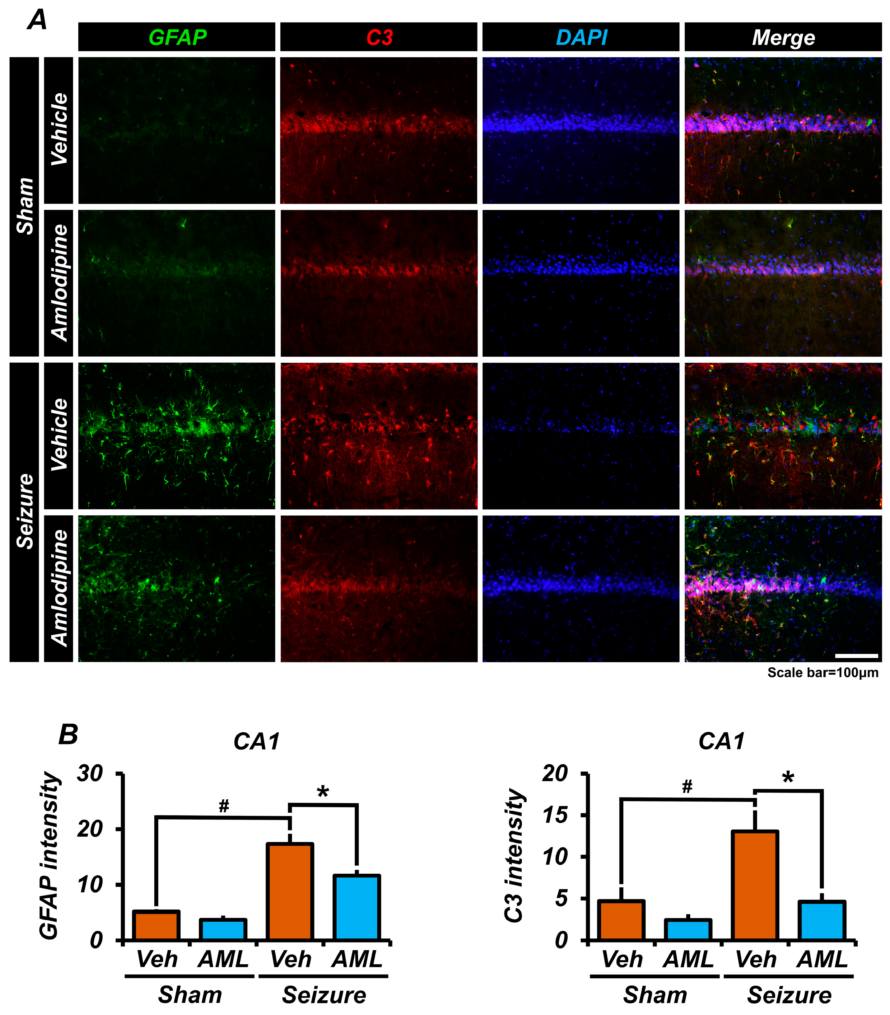 Antioxidants 13 00389 g005