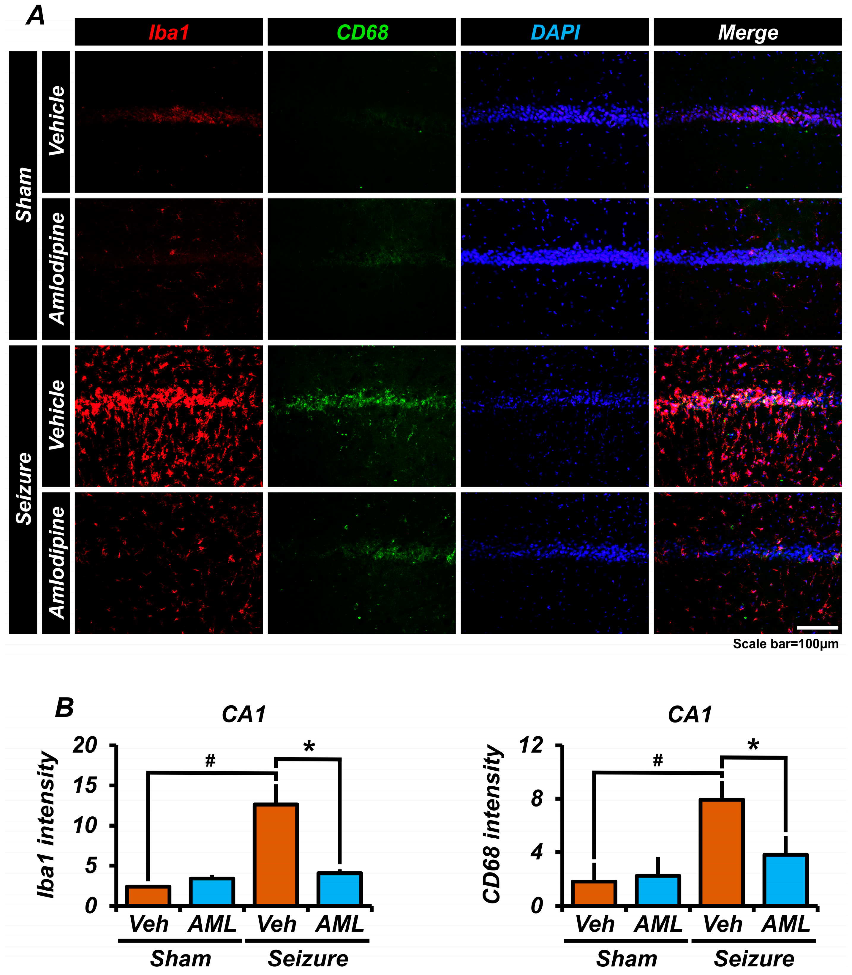 Antioxidants 13 00389 g006
