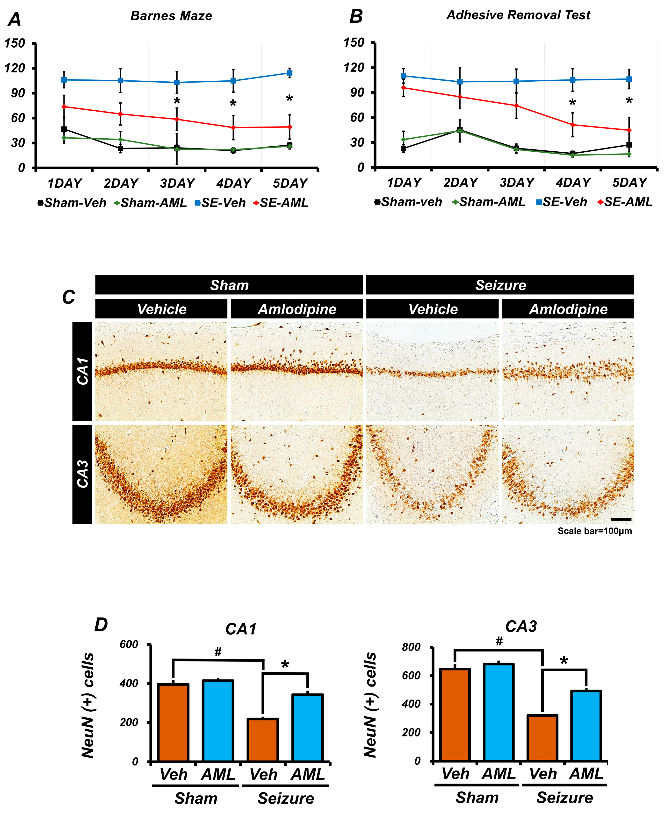 Antioxidants 13 00389 g008