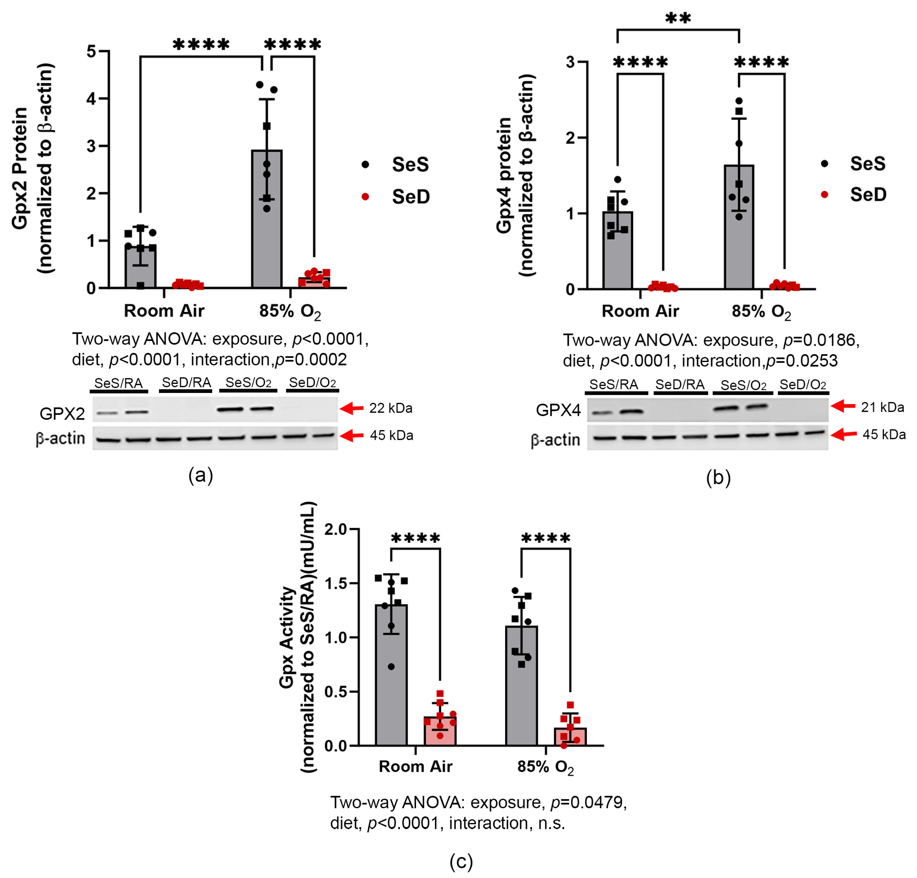 Antioxidants 13 00391 g003