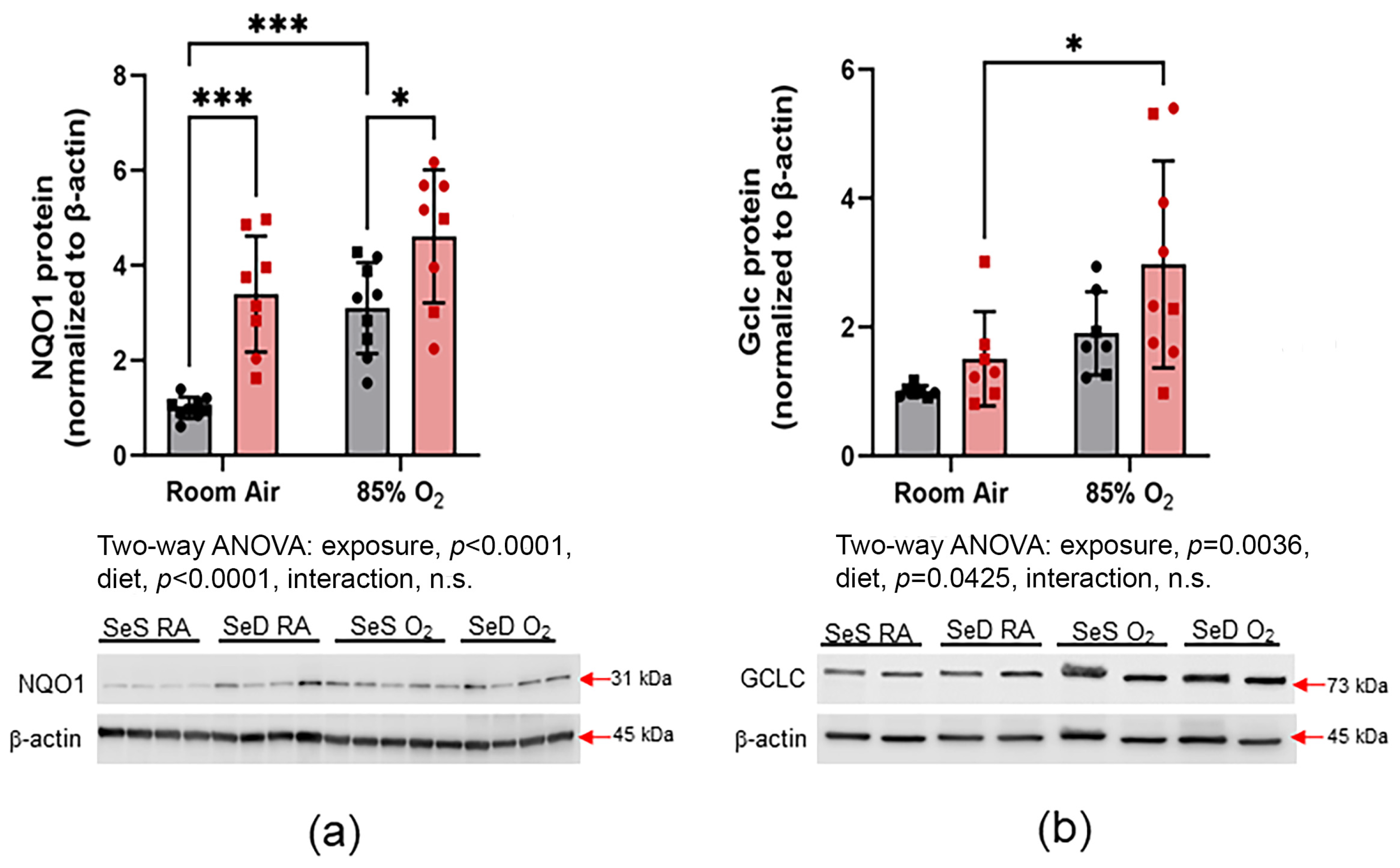 Antioxidants 13 00391 g005