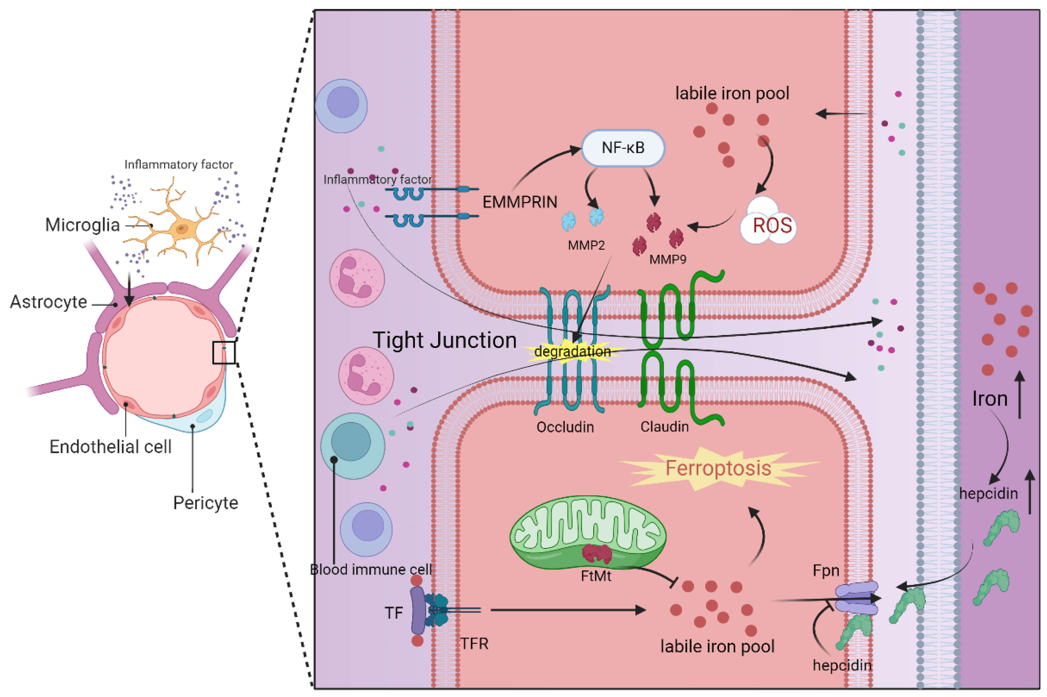 Antioxidants 13 00395 g002